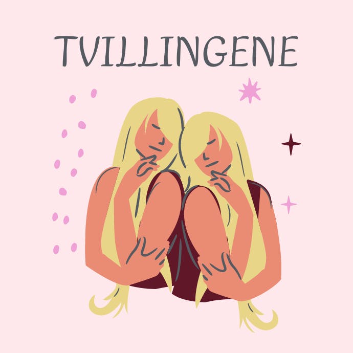 Stjernetegnet tvillingene