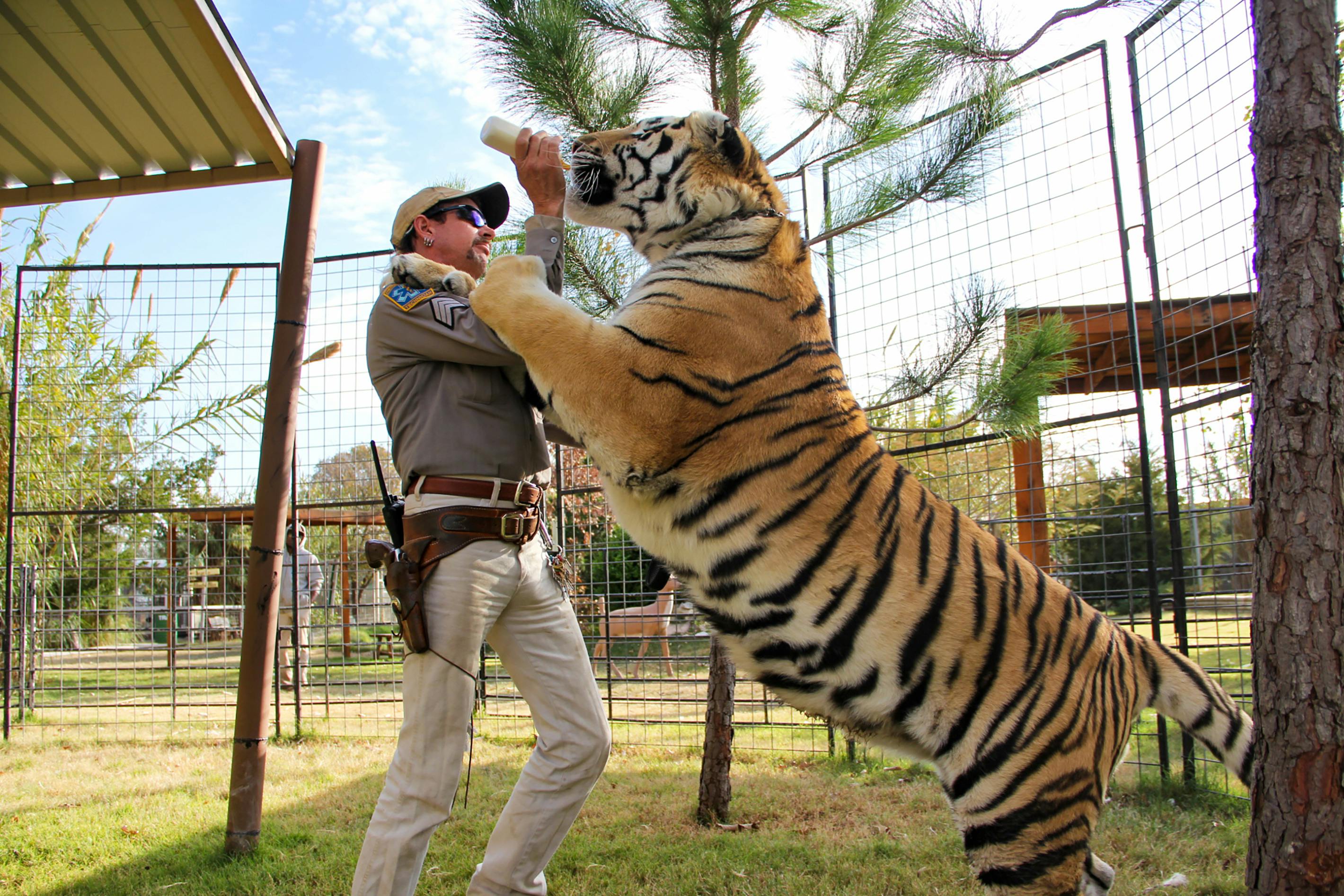 Det er stopper bare aldrig med at se sindssygt ud. Vi glæder os til meget mere af det! Tiger King sæson 2