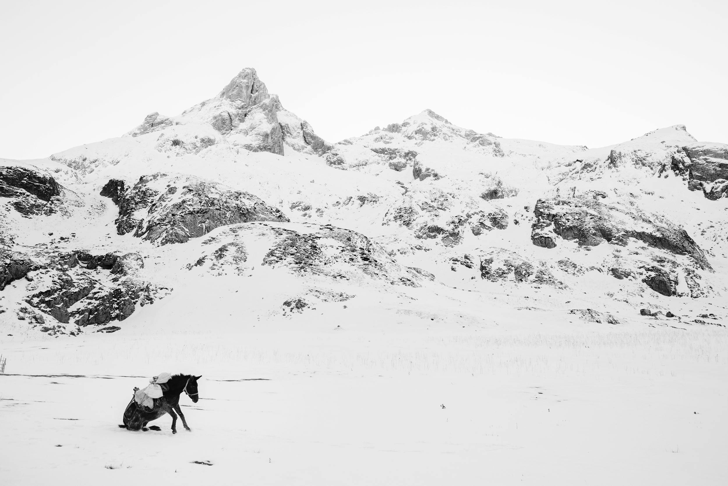 Whiteout Frederik Buyckx utsågs till årets fotograf i Sony World Photography Awards 2017