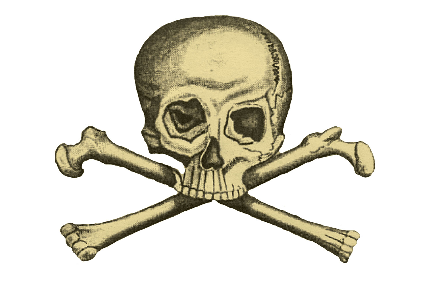 download skull bones 322