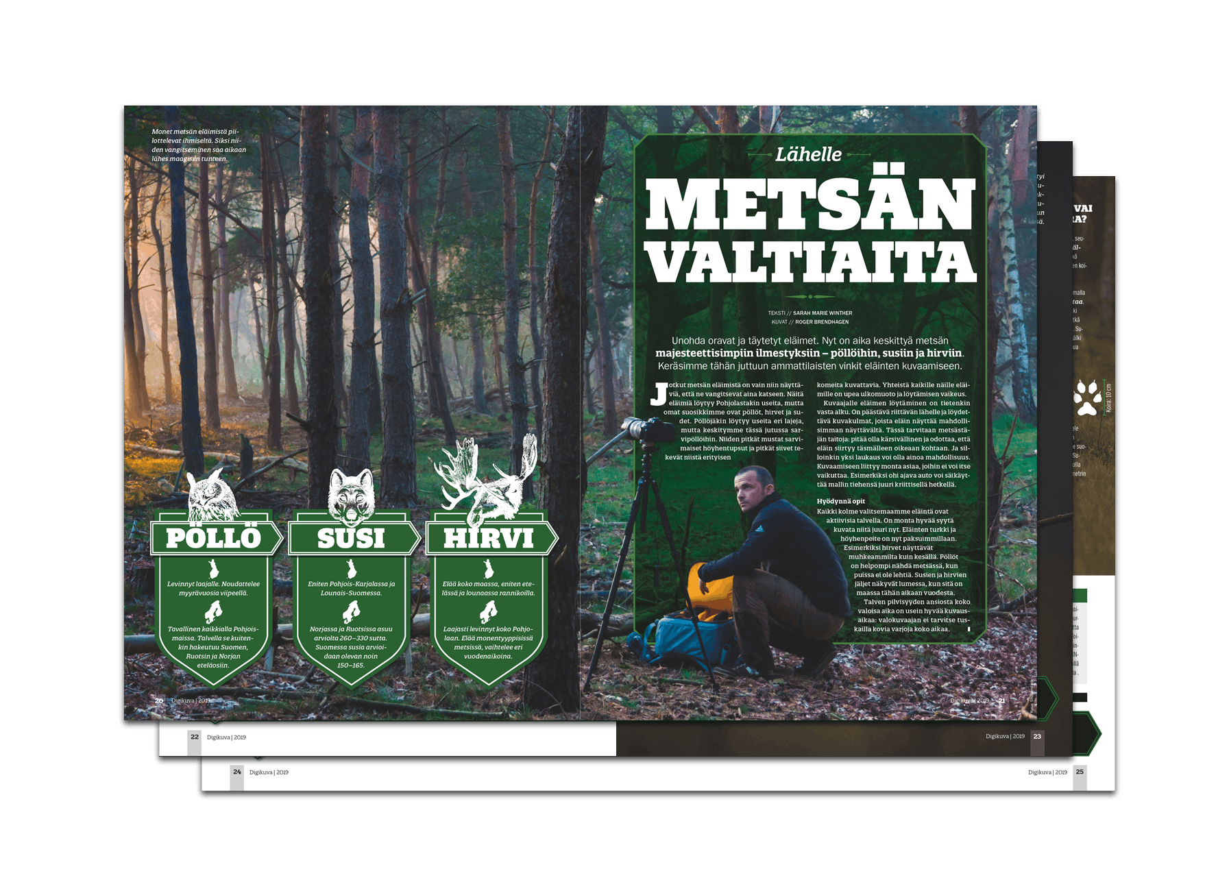 Digikuvan numero 3/2019 eläinkuvaus