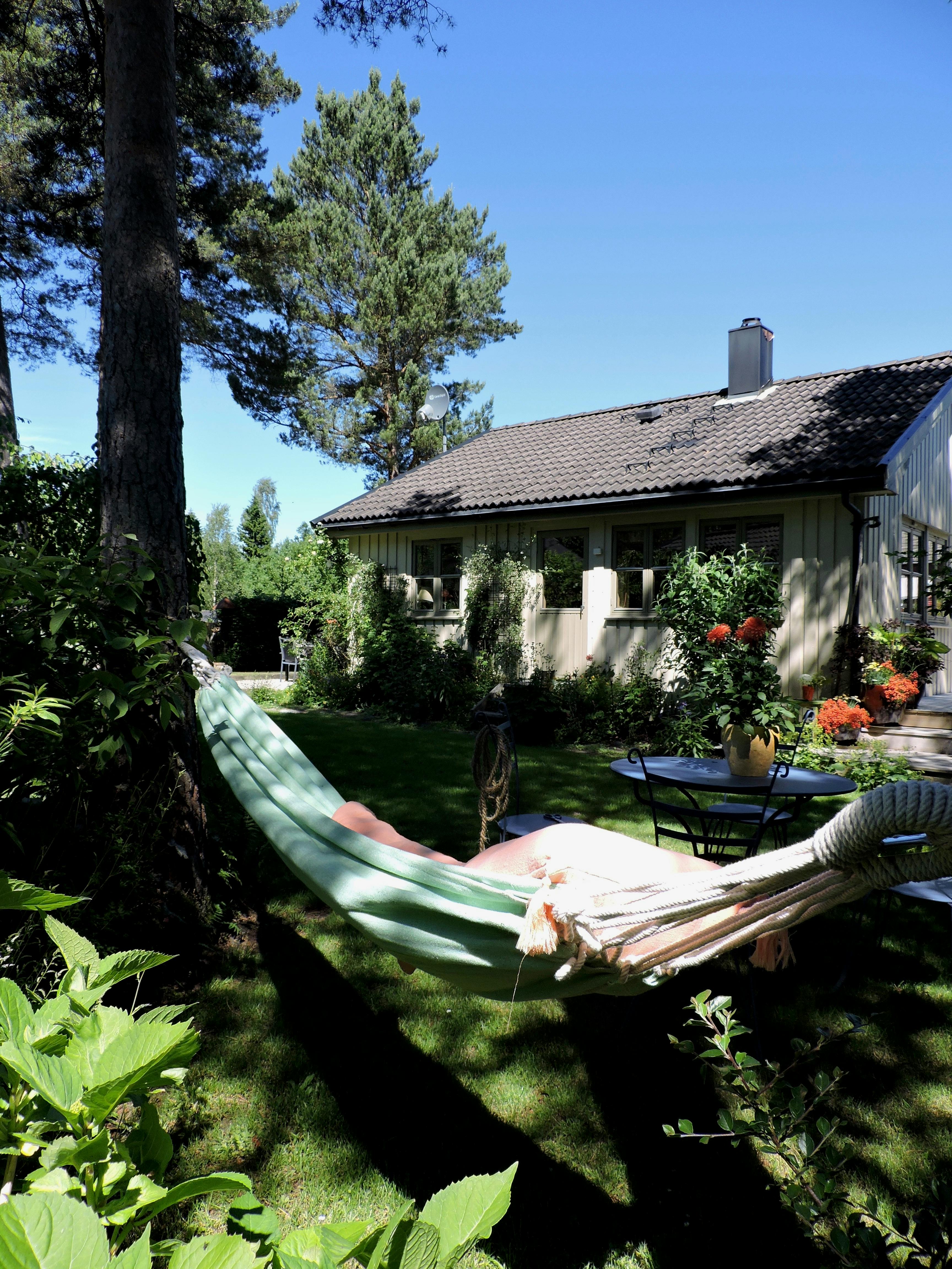 Uteplass med hengekøye