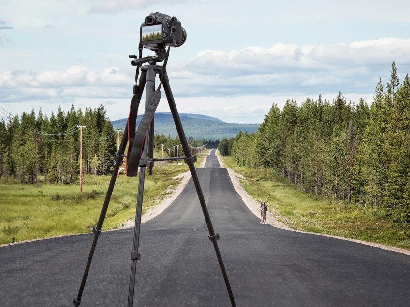 Fotostativ