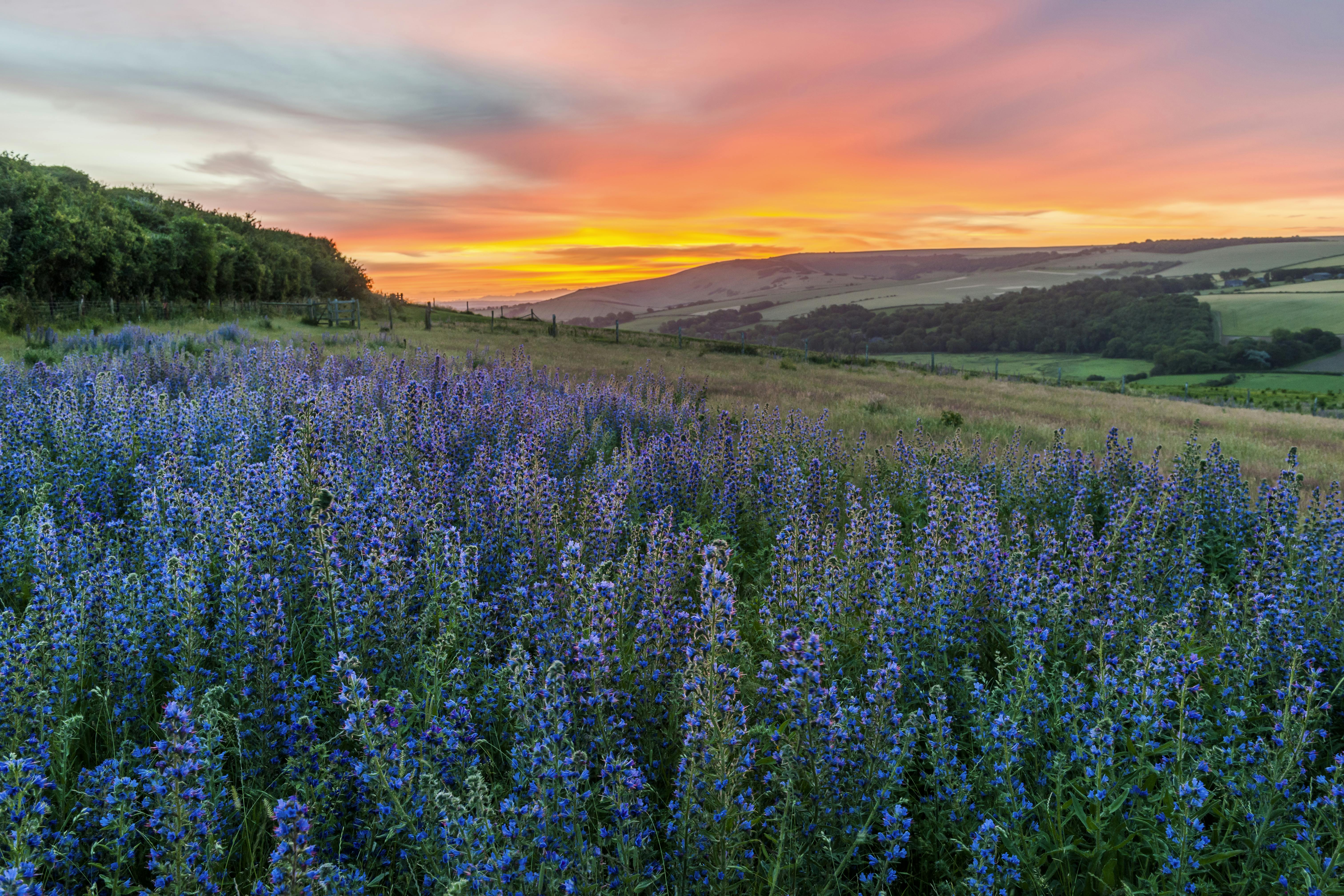 International Garden Photographer of the Year International Garden Photographer of the Year