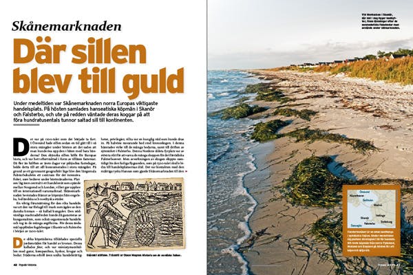 skanemarknaden skanemarknaden