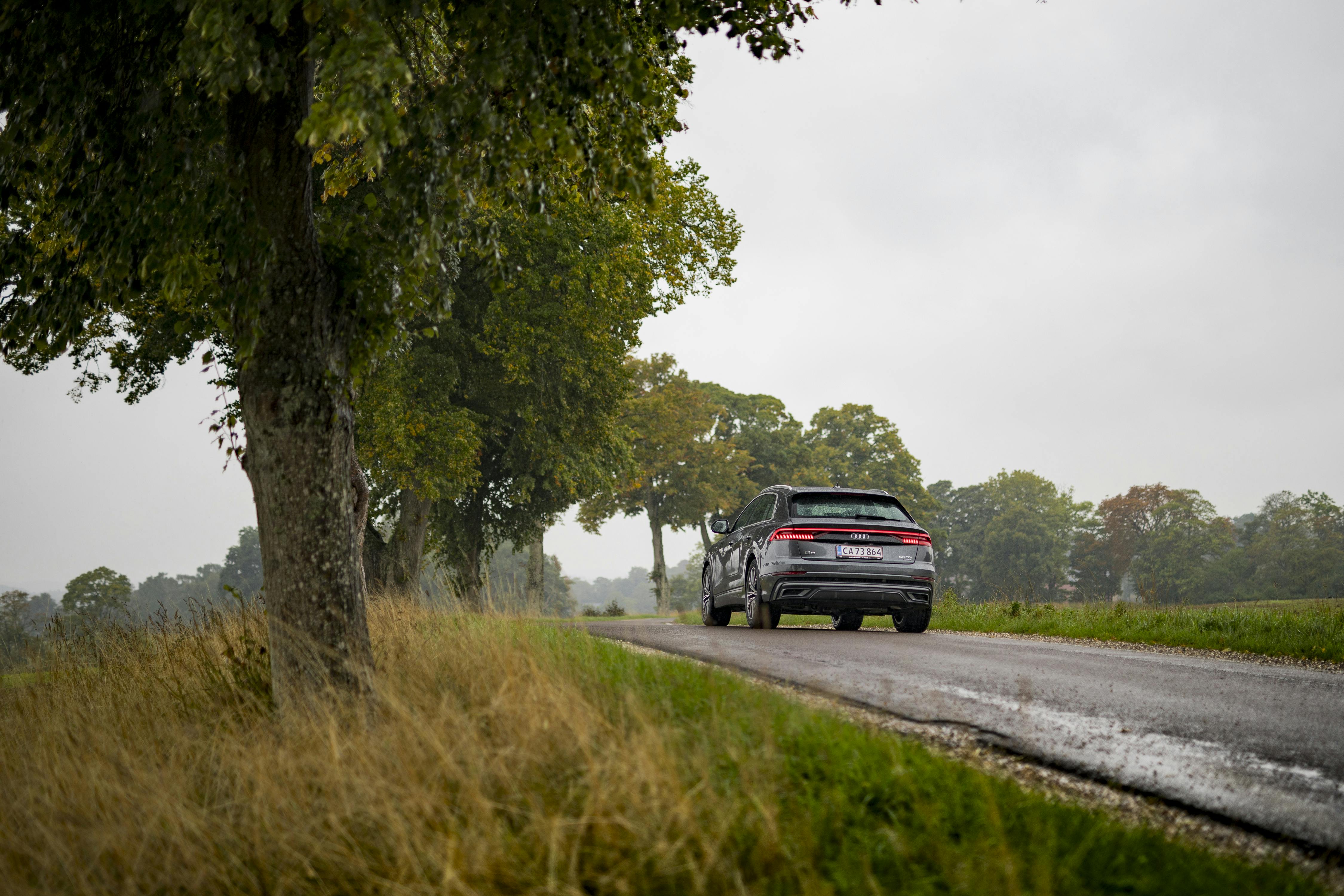Audi Q8 50 TDI quattro aut. Audi Q8 50 TDI quattro aut. rear silver