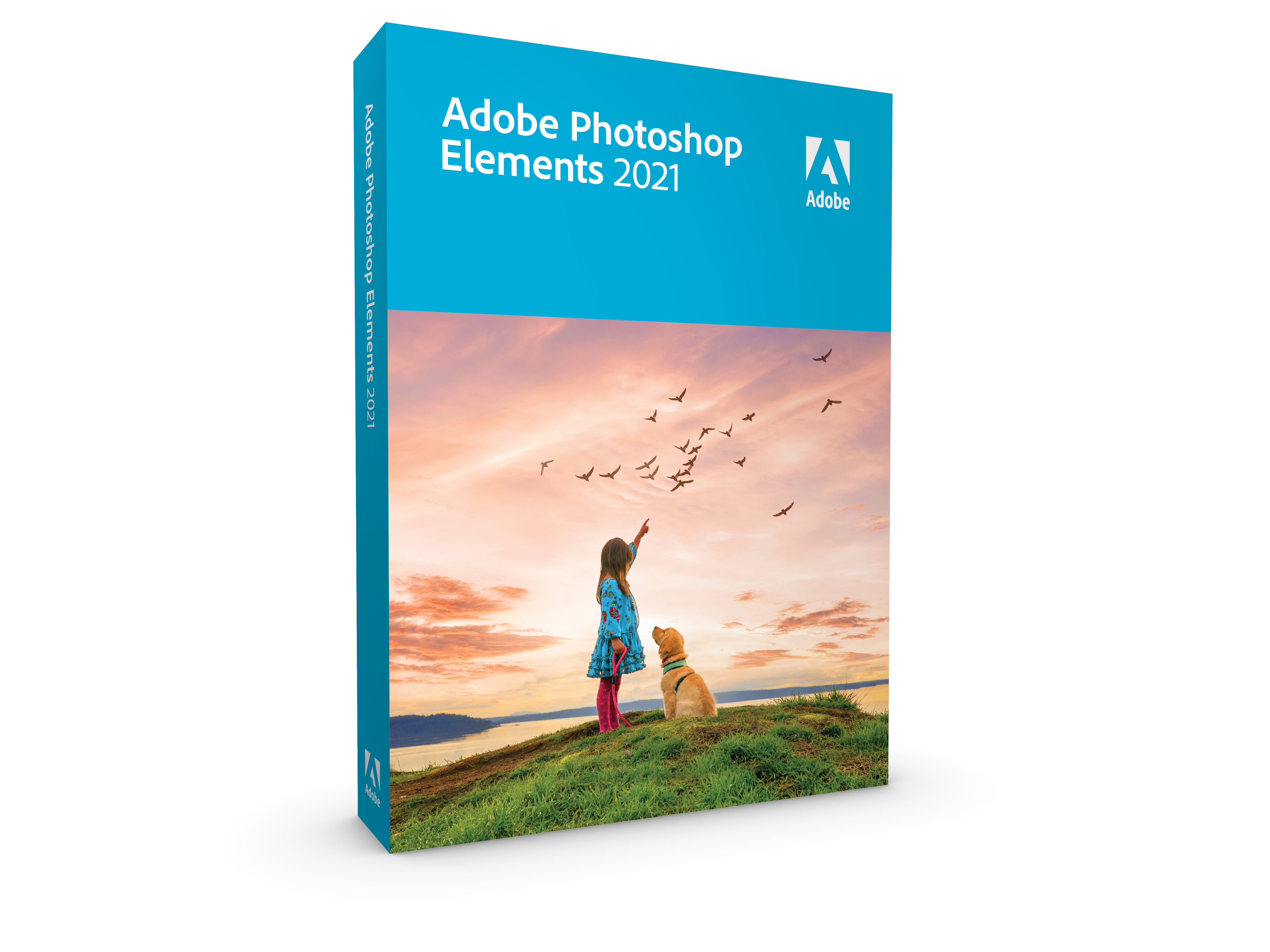 adobe photoshop elements 7.0 not responding