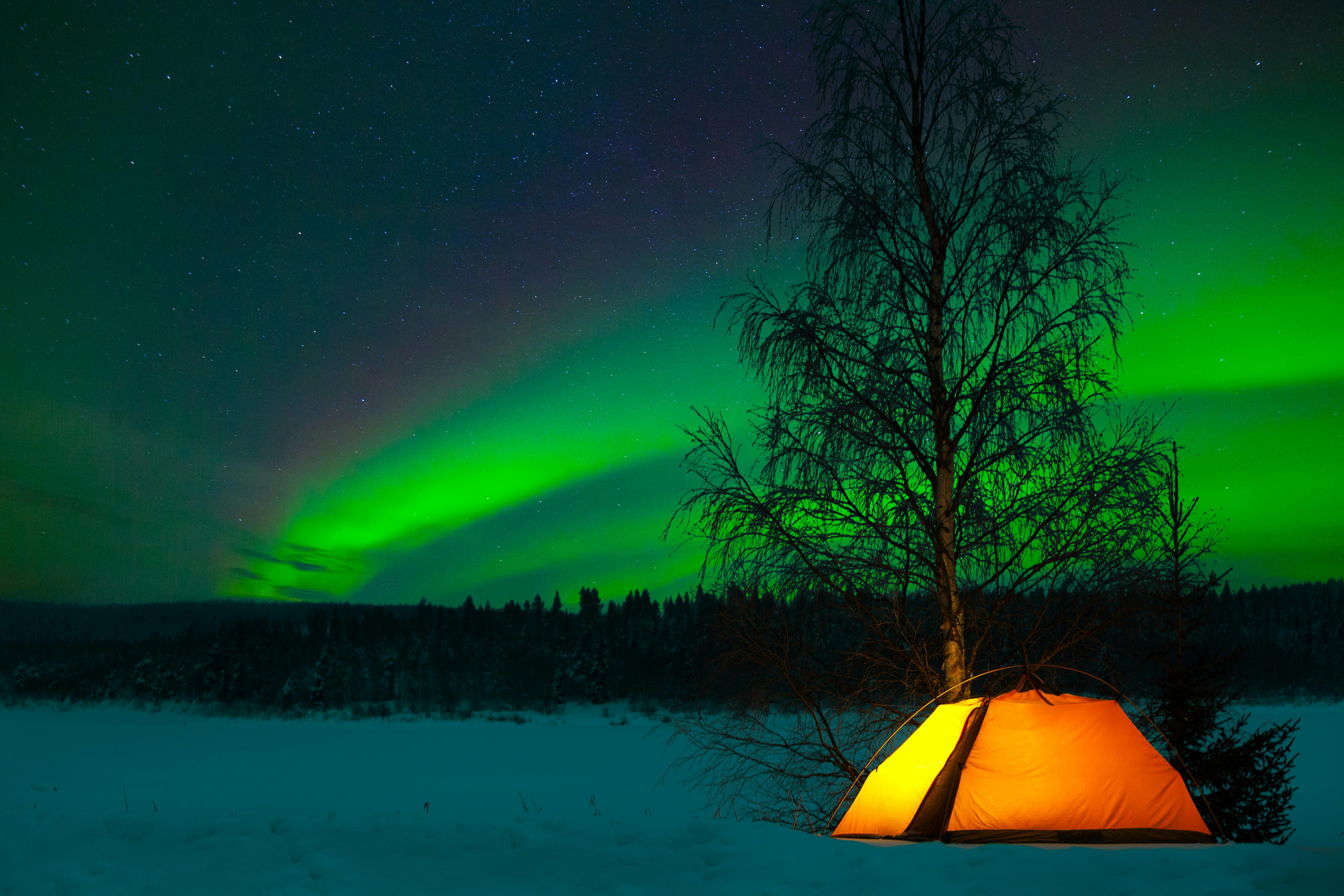 Nordlys i Alaska i USA. Nordlys i Alaska