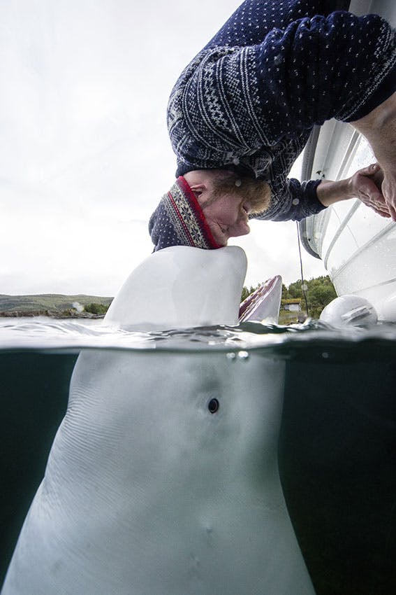 Aleksander Nordahl, Professional competition, Wildlife _ Nature, Sony World Photography Awards 2021