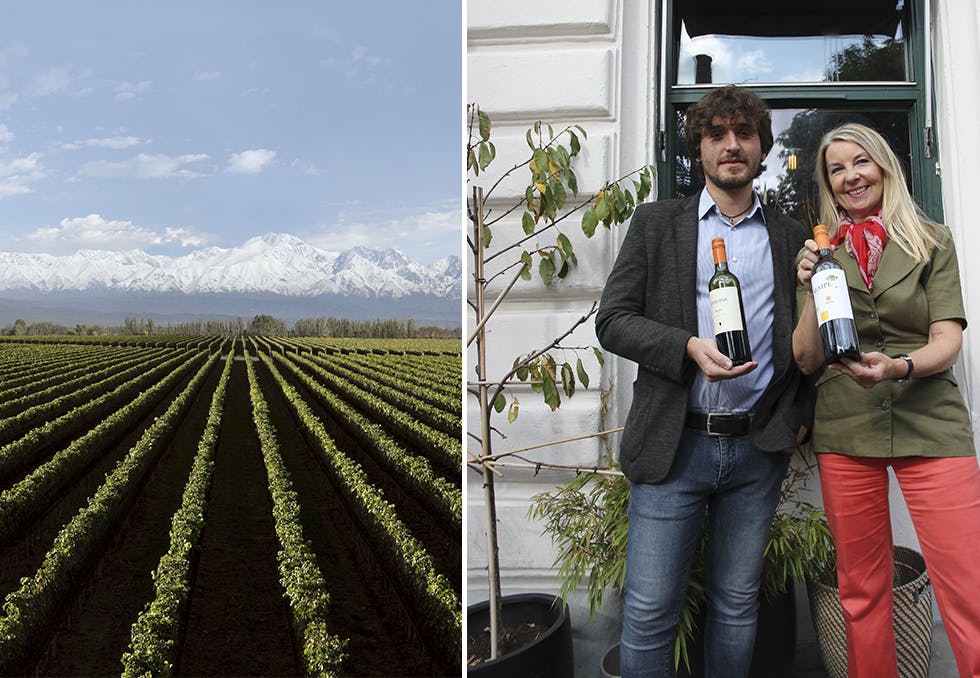 Biodynamisk vinprodusent: Biodynamisk vinprodusent