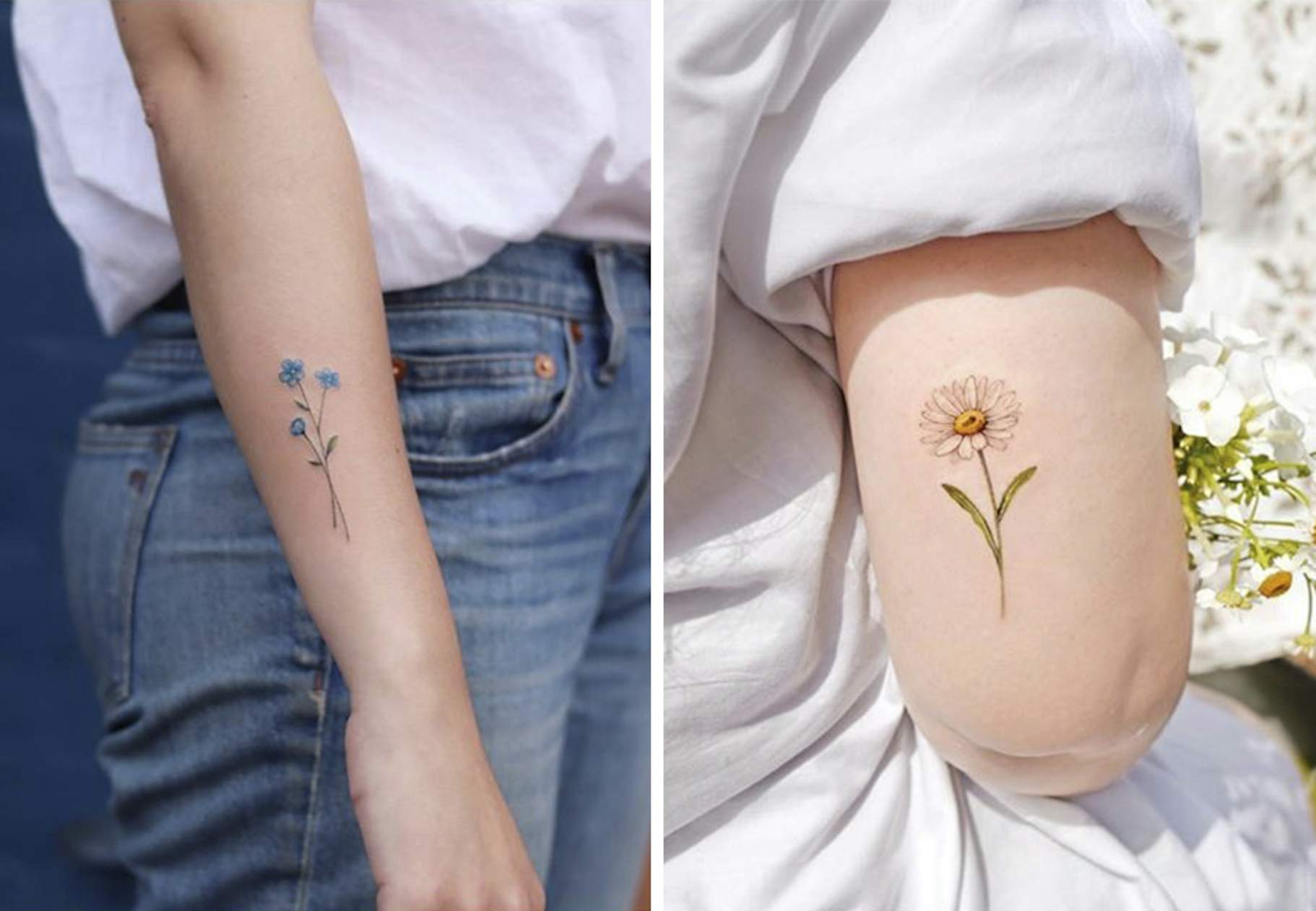 Betydning tatoveringer med Haj tatovering