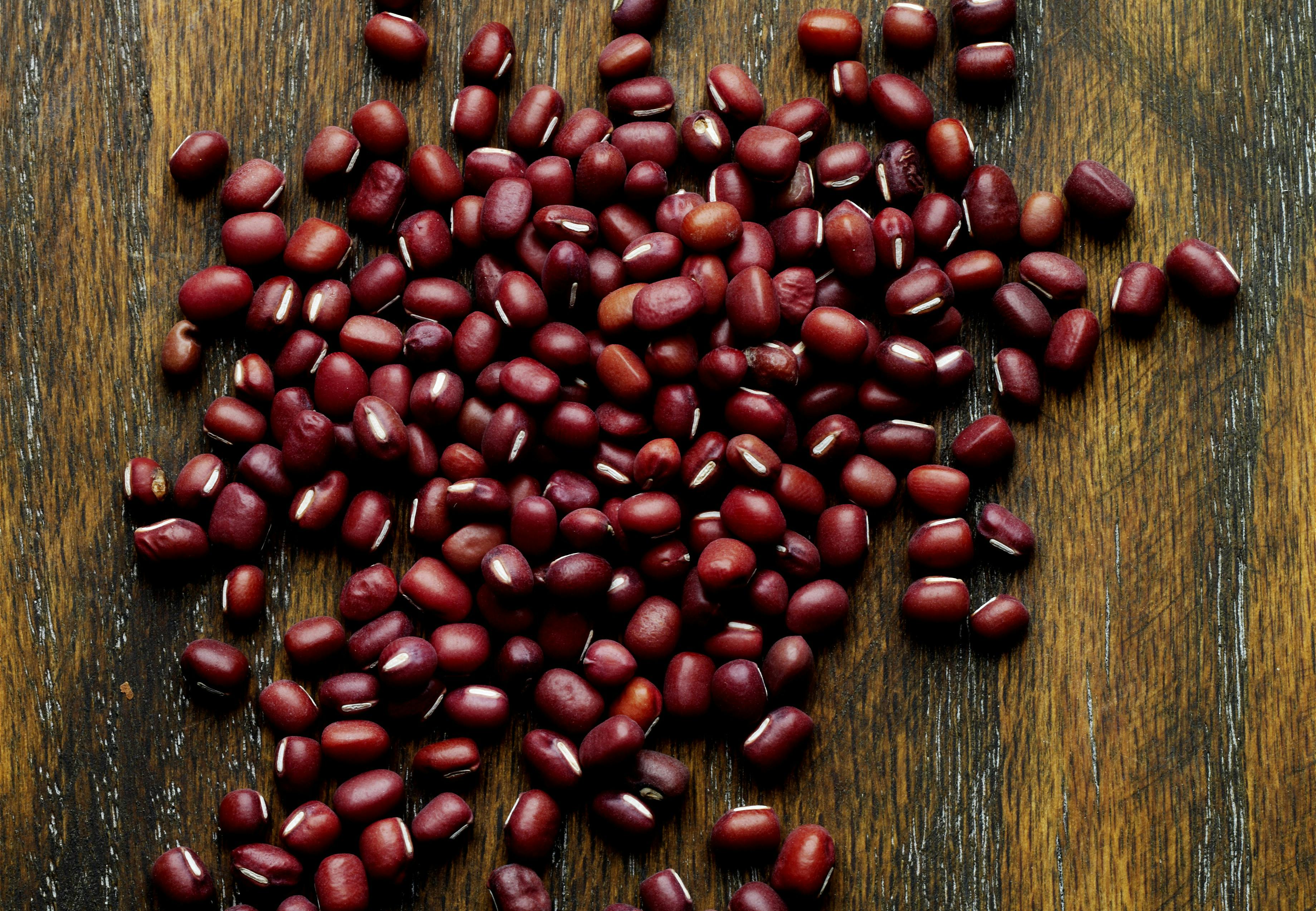 Protein-behov Protein