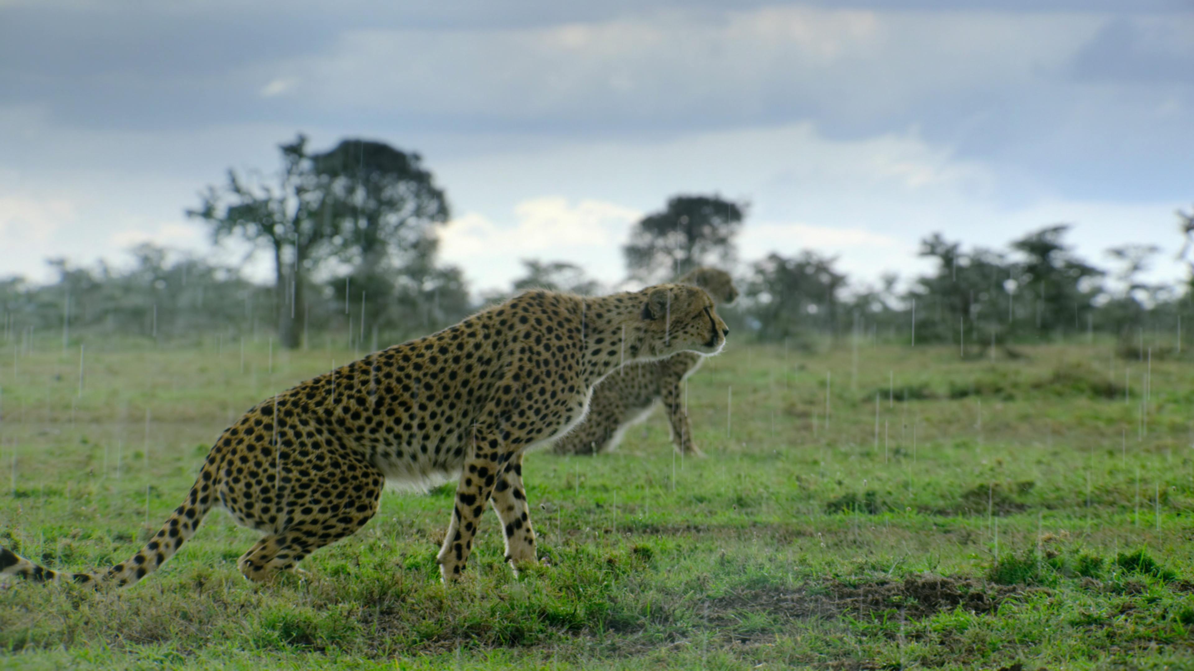 Breaking Boundaries: The Science of Our Planet kommer på Netflix 4. juni. Breaking Boundaries: The Science of Our Planet