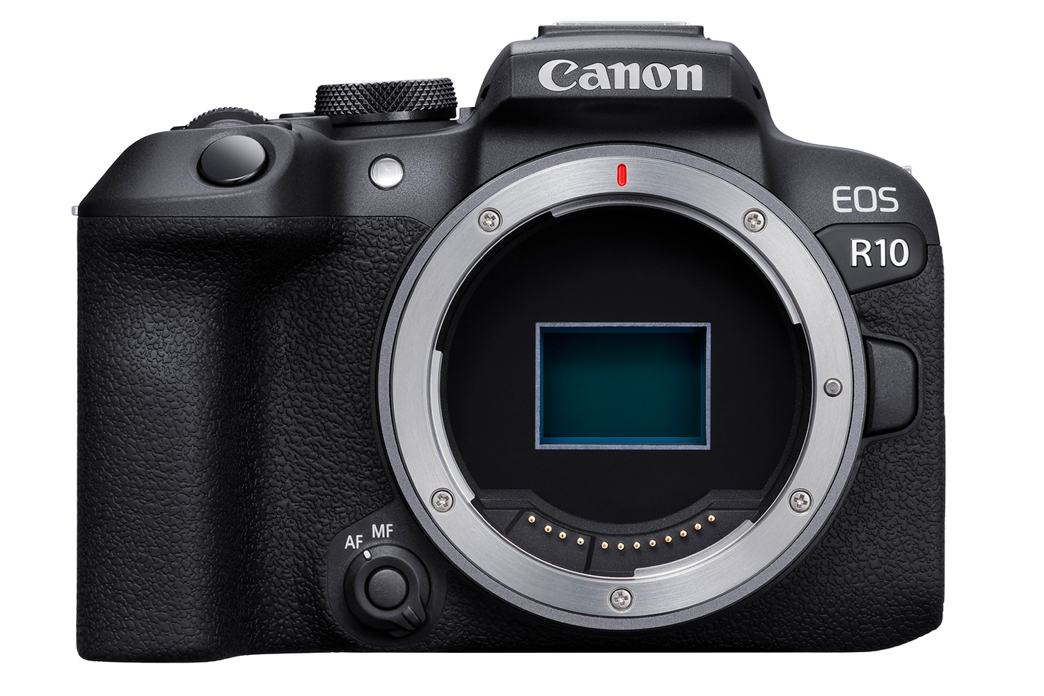 Canons beste speilløse systemkameraer i 2023 – finn ditt neste |  Digital-foto.no