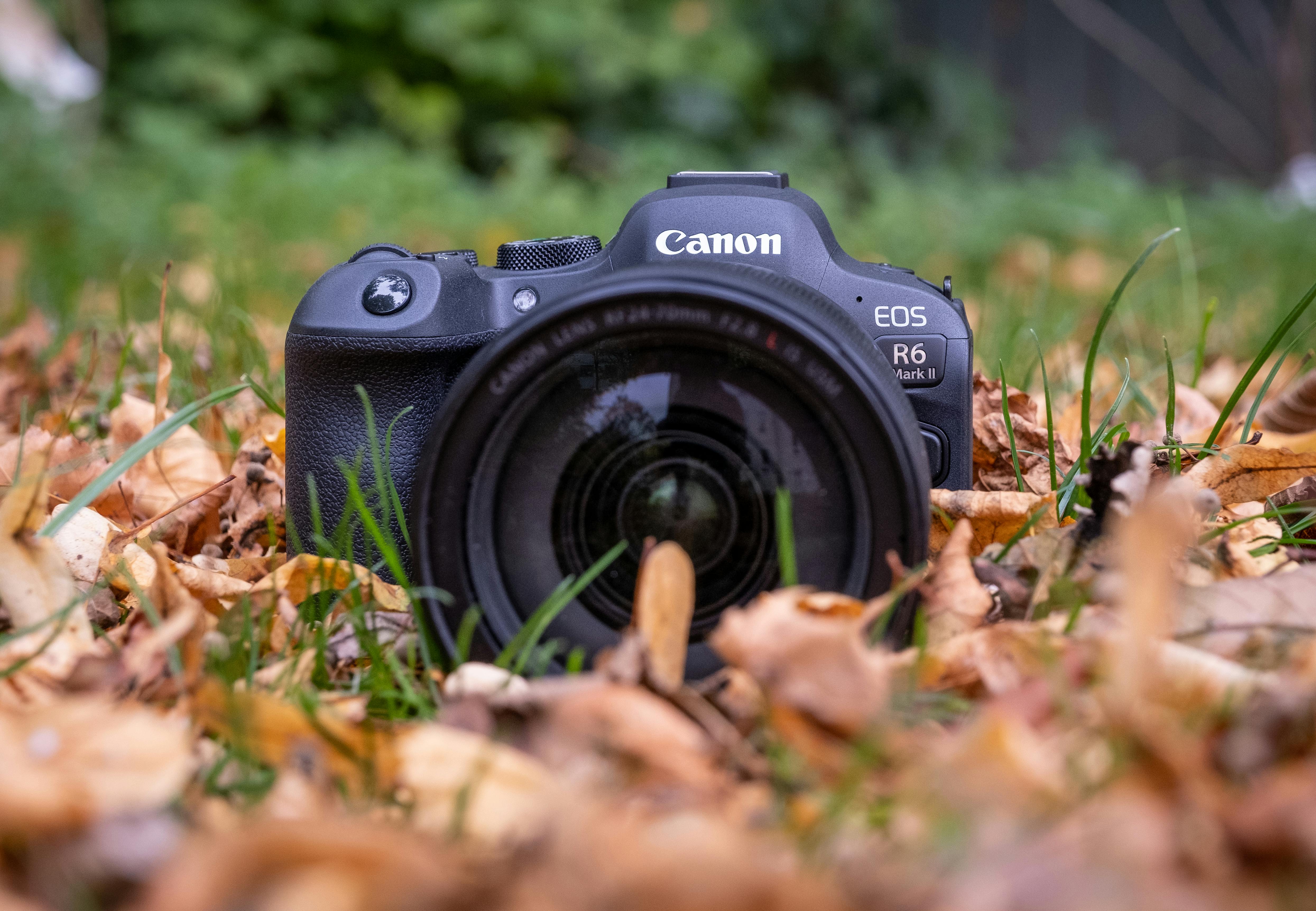 Canon EOS R6 Mark II