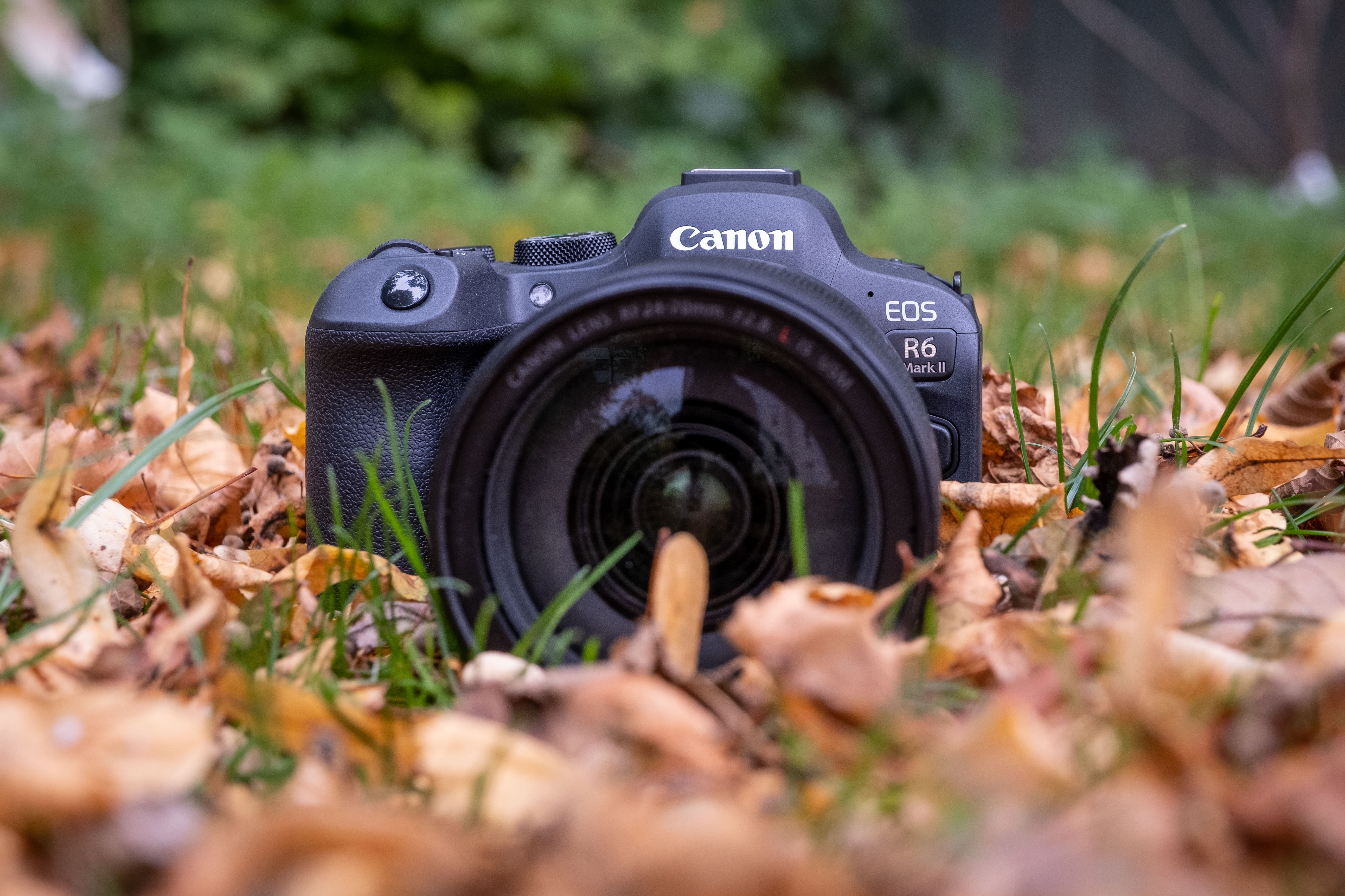 Canon EOS R6 Mark II – 24 Megapixel Och Intelligent Fokussystem ...