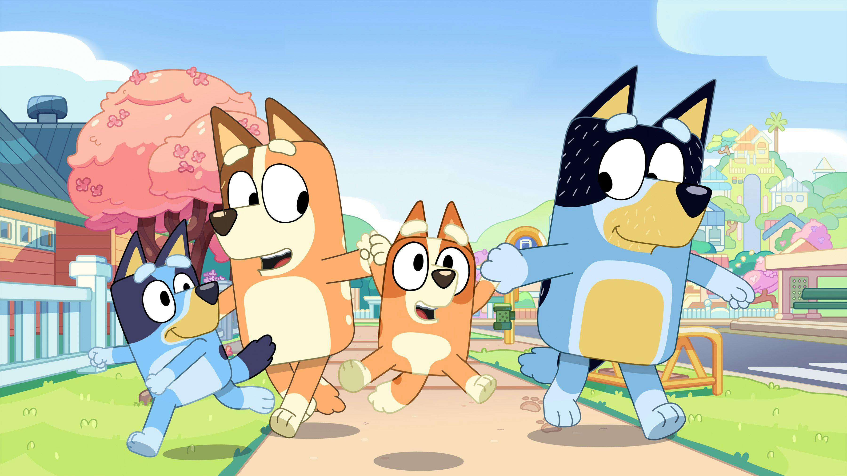 Kender du serien om Bluey? Bluey Baby TV