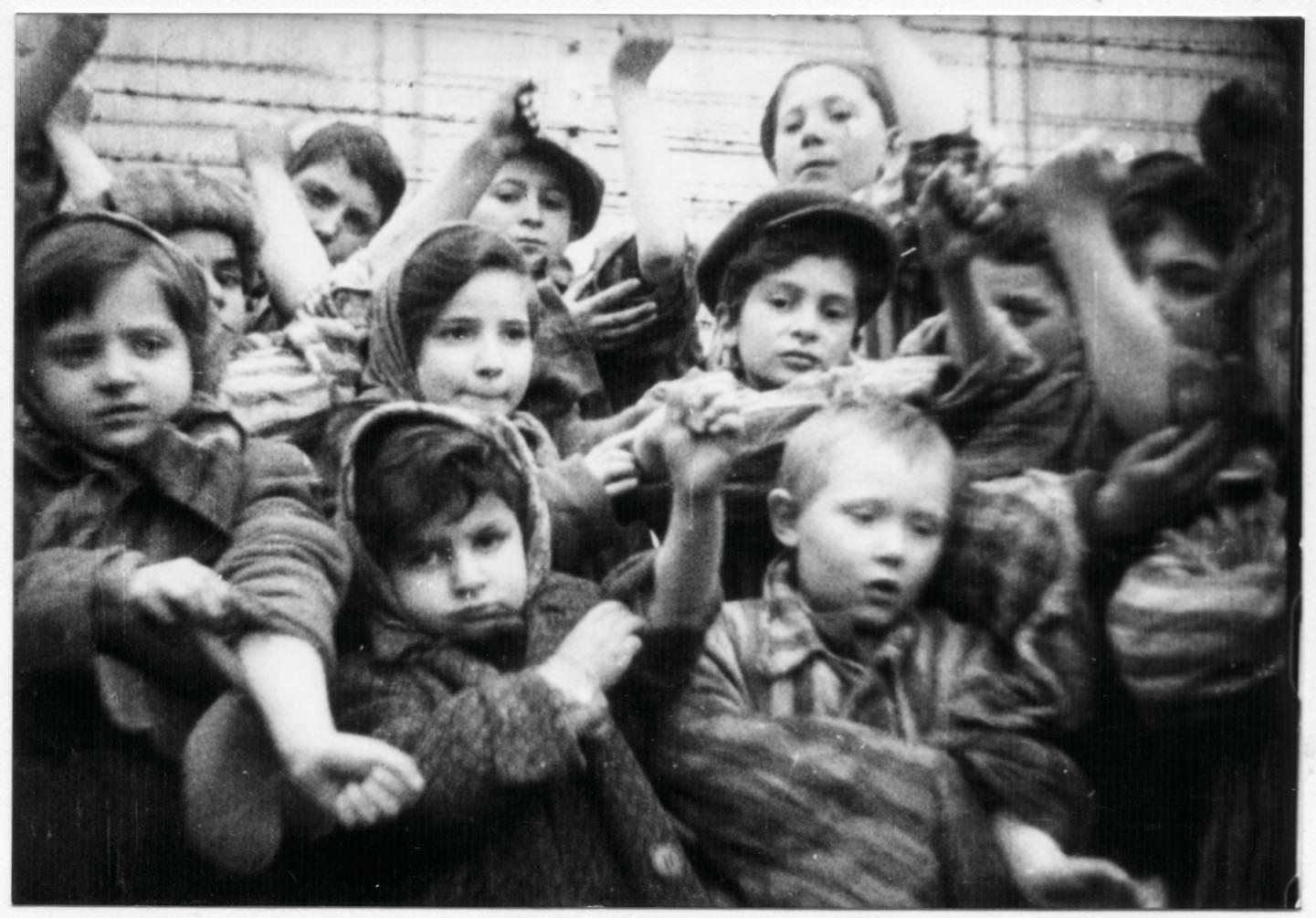 Auschwitzs børn Børn der overlevede Auschwitz
