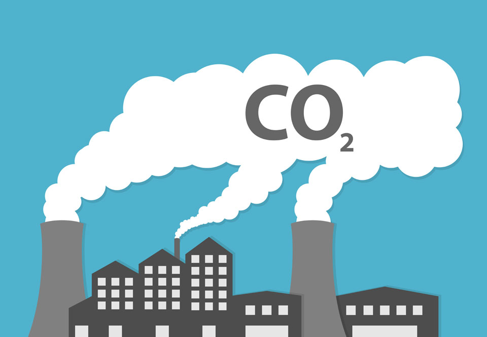 Welke Boom Neemt Meeste Co2 Op Wat stoot het meeste CO2 uit? | Wibnet.nl
