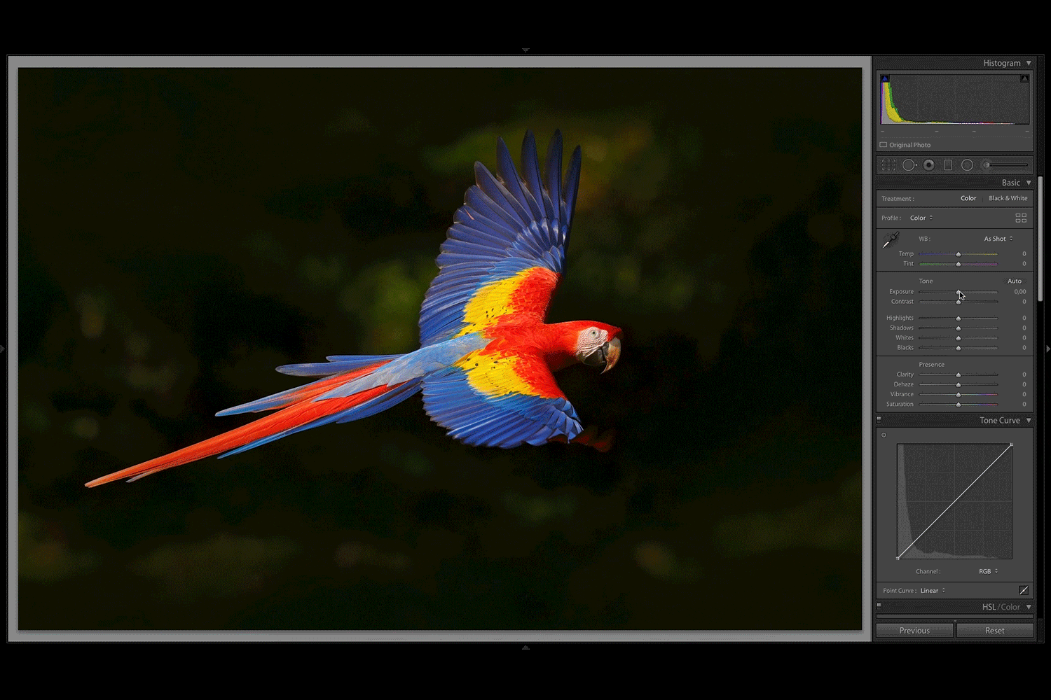 Farvejustering i Lightroom