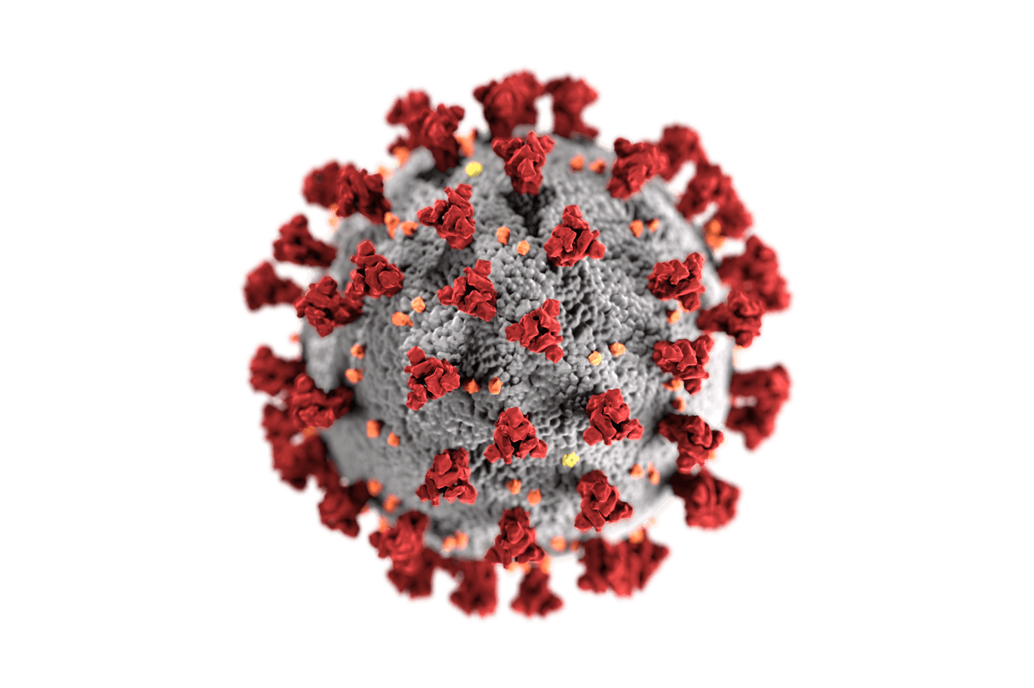 Coronavirus Folding@home vil bruke pc-en din til å finne ut hvordan koronaviruset virker.