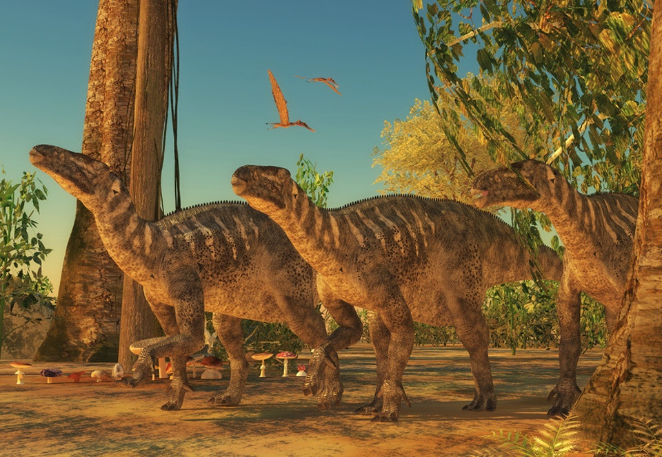 Skandinavien var hjemsted for tonstunge dinosaurer
