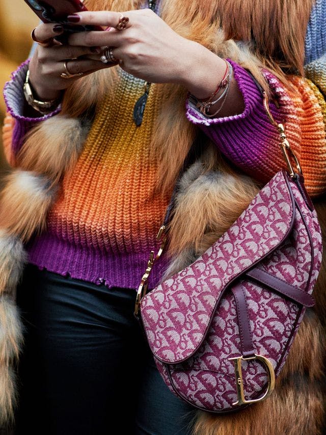 dior saddle taske