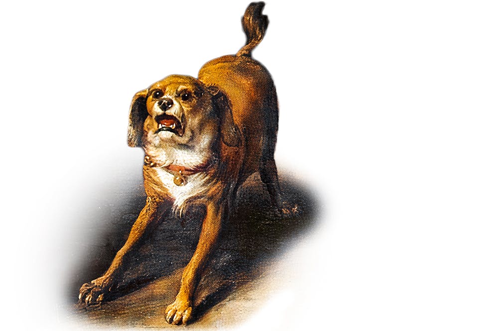 Hund som skäller