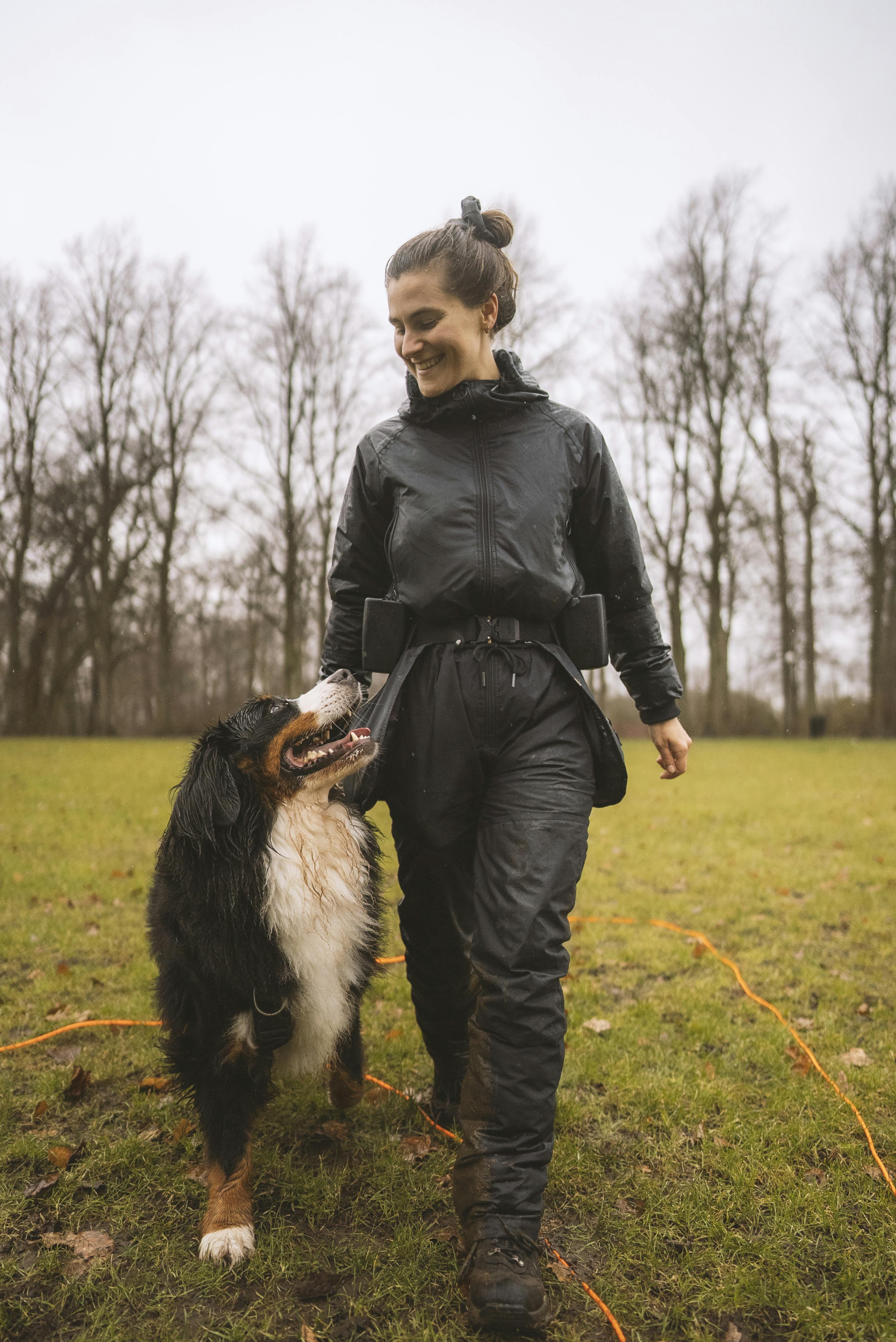 På plads-øvelsen er vigtig for, at din hund lærer at gå pænt i snor. Hundetræning