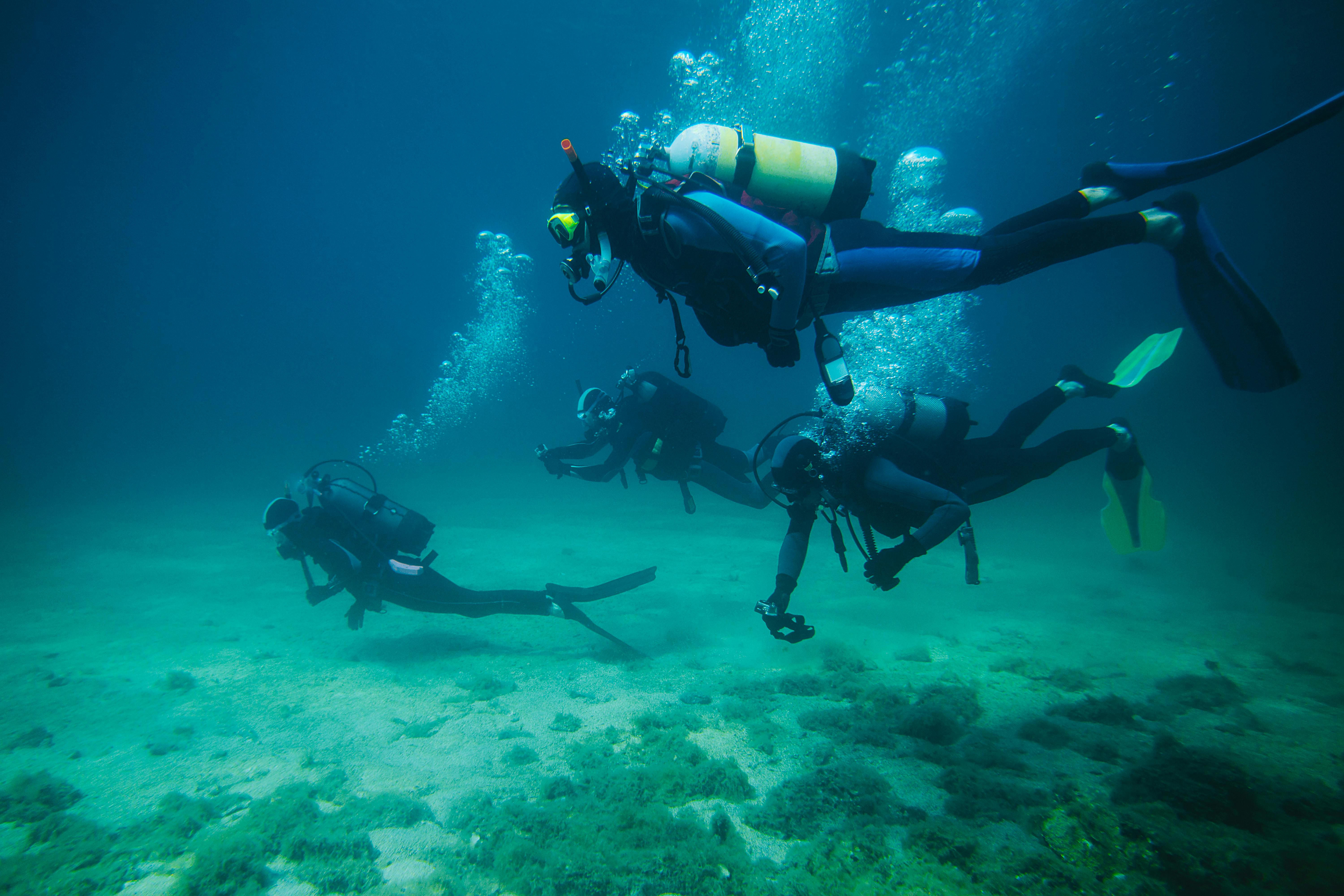 Dit første dykkercertifikat er et Open Water Diver-dykkercertifikat. Dykkere dykker under vandet