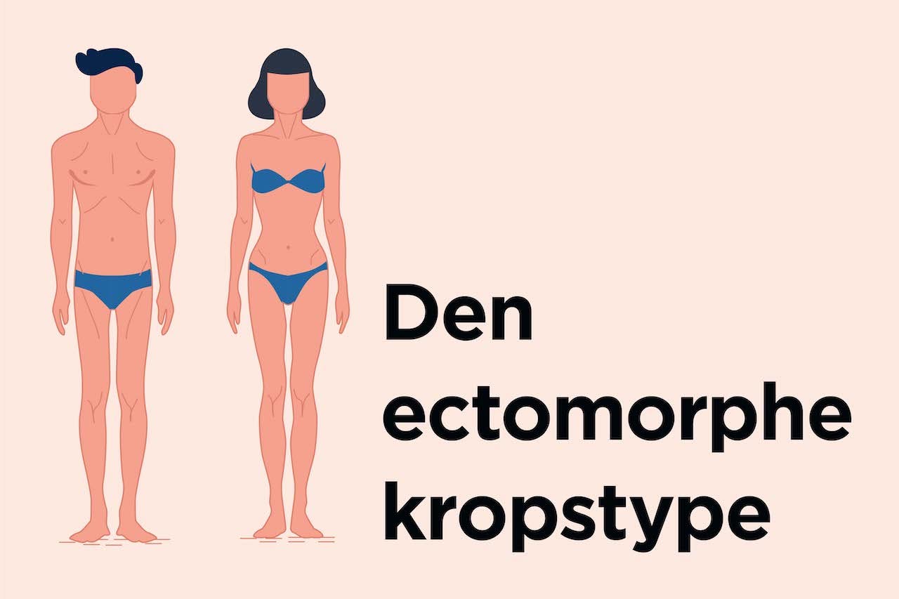 Den ectomorphe kropstype er naturligt slank og har ofte længere ben. illustration af den ectomorphe kropstype