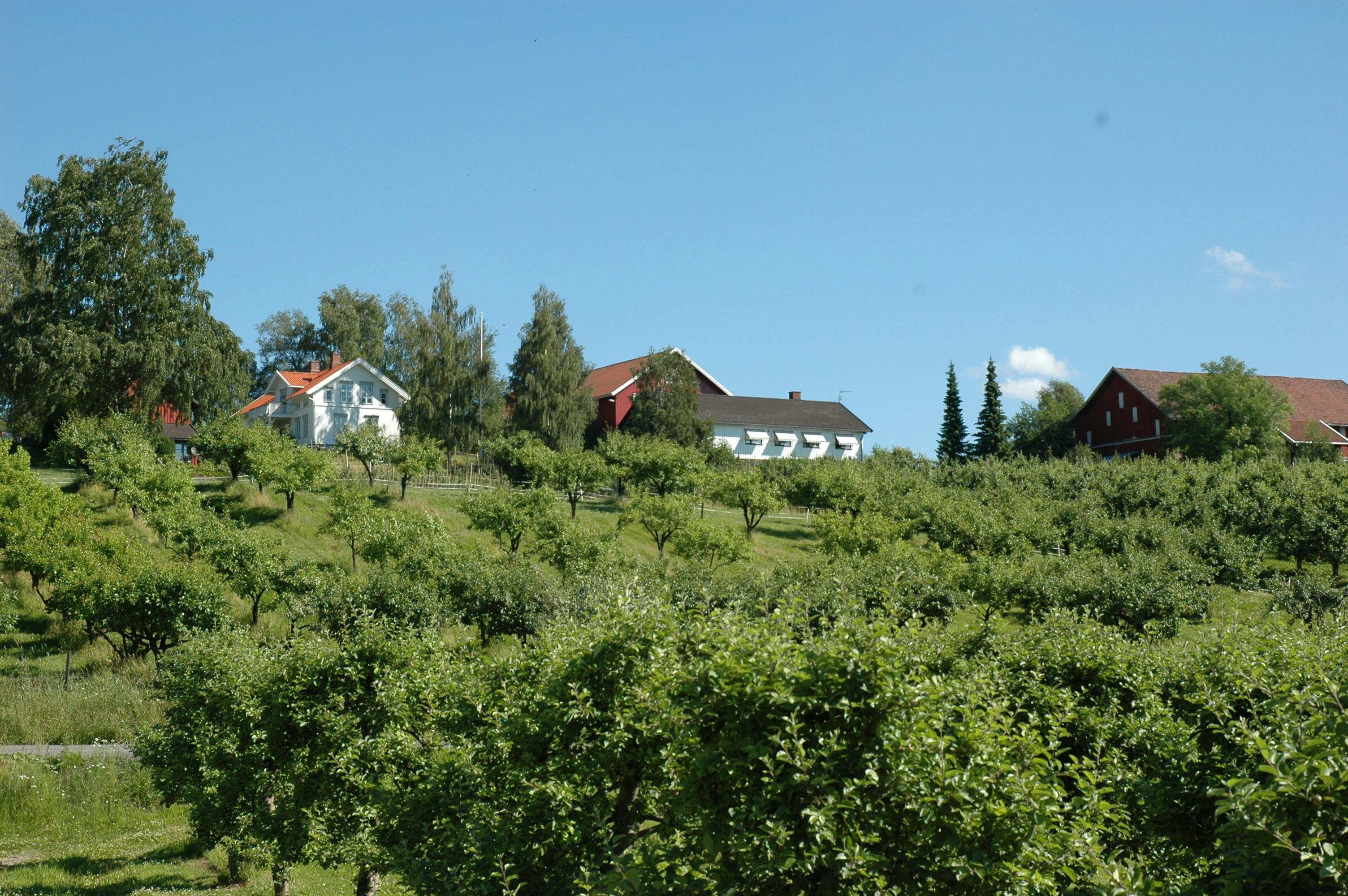 Skjønt og landlig: Egge gård