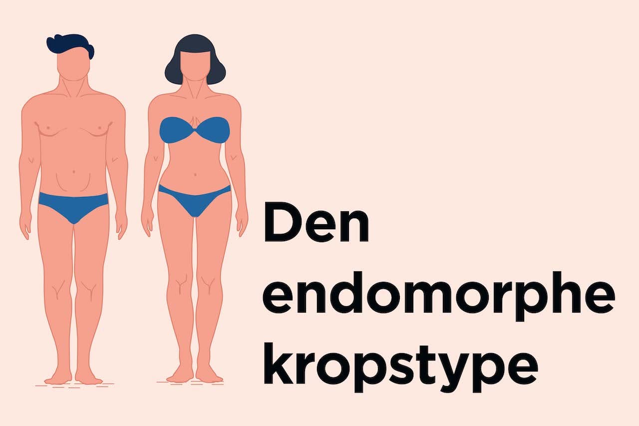 Den endomorphe kropstype er naturligt bred og har ofte svært ved at holde vægten nede. illustration af endomorph kropstype