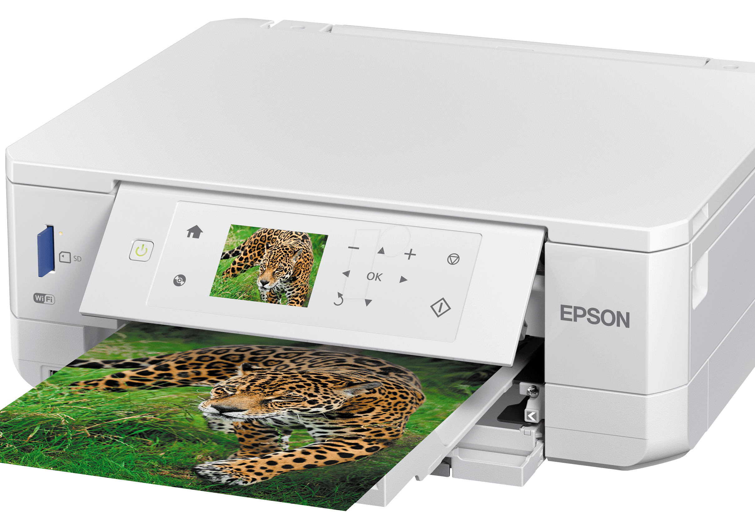 Epson perfection v200 photo программа для сканирования