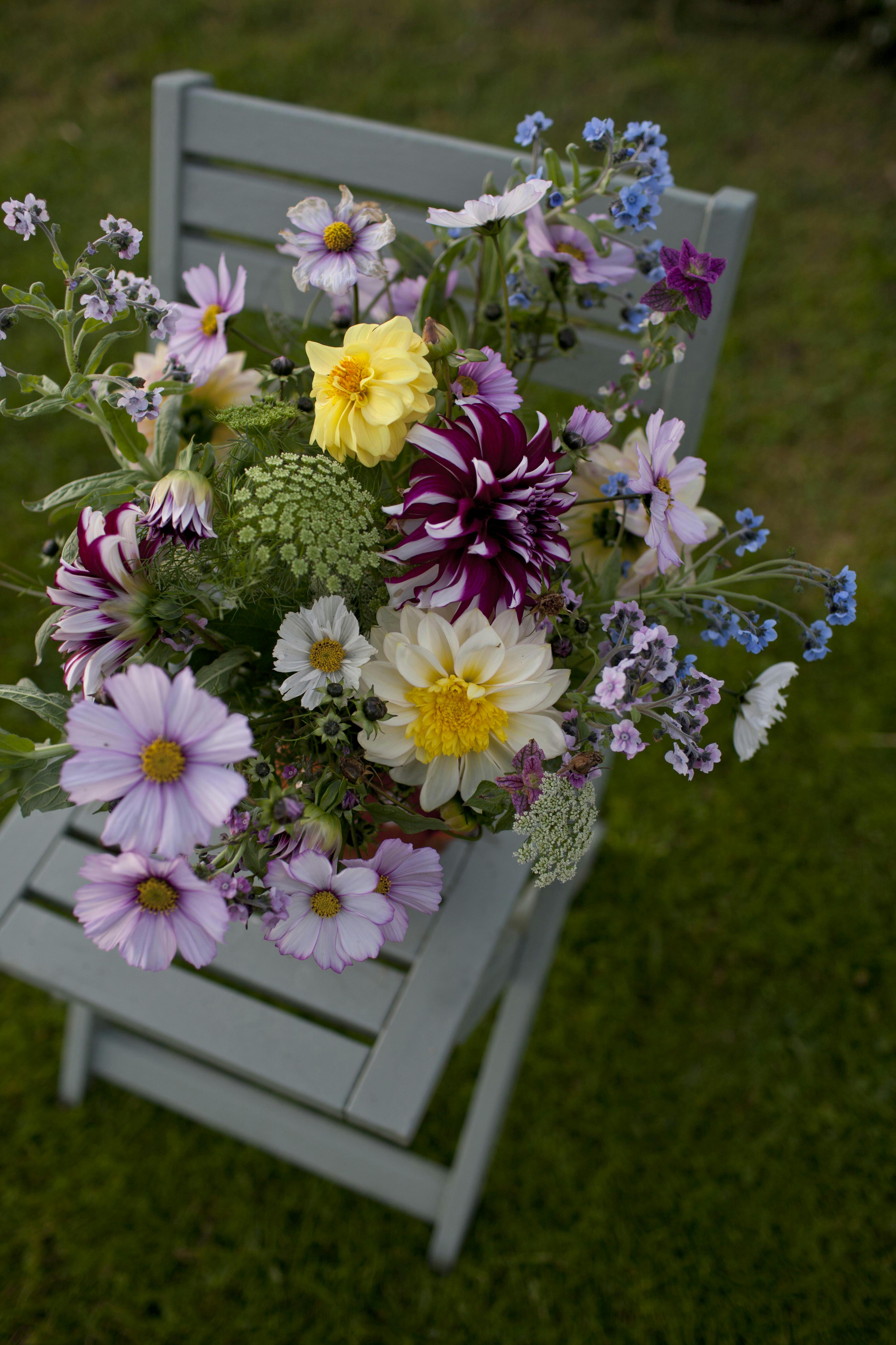 Resultatet af havekærlighed. plukkede blomster