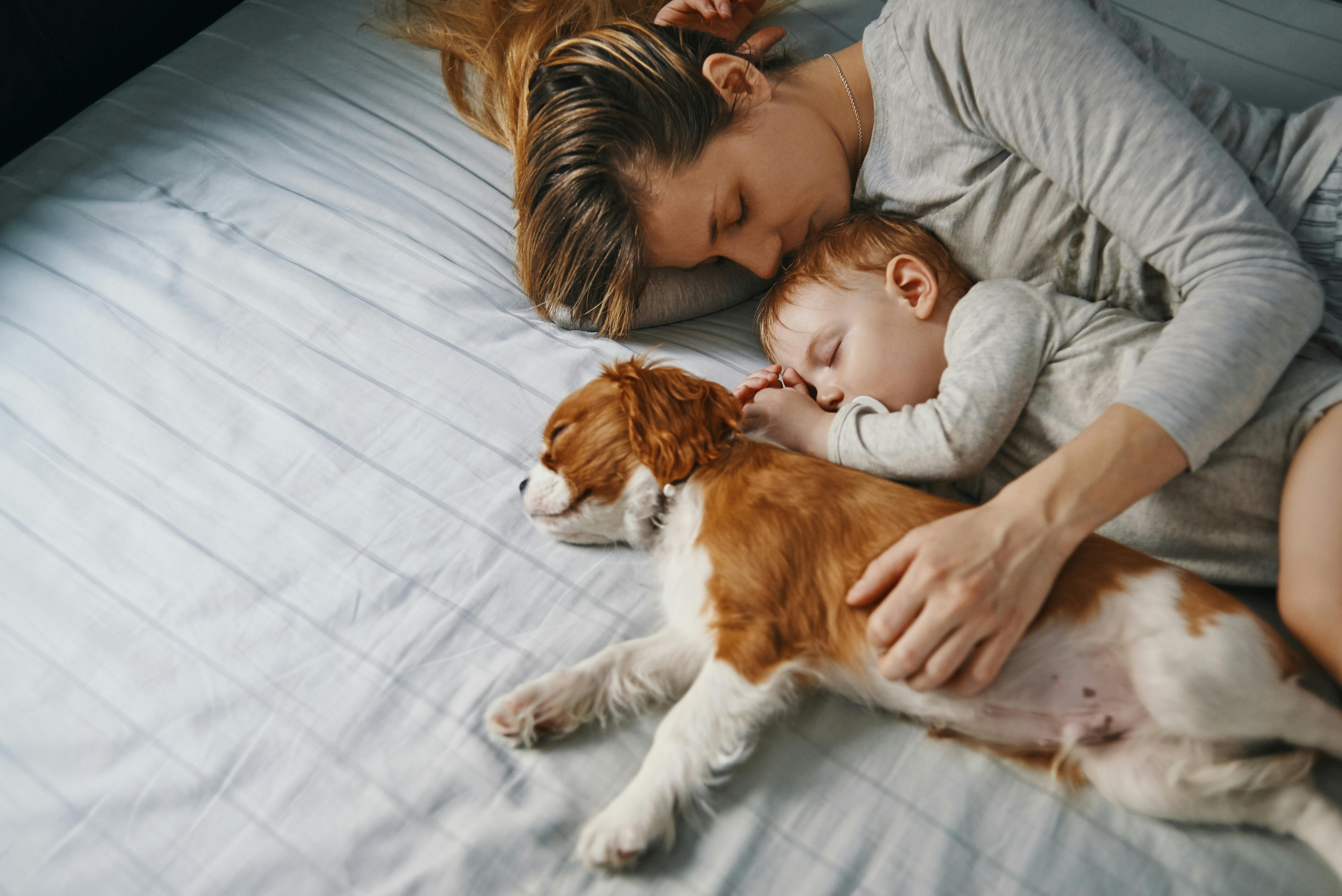 At have hund, er altid de voksnes ansvar, men relationen til dyr, kan være meget givende for børn. Familiehund med familie