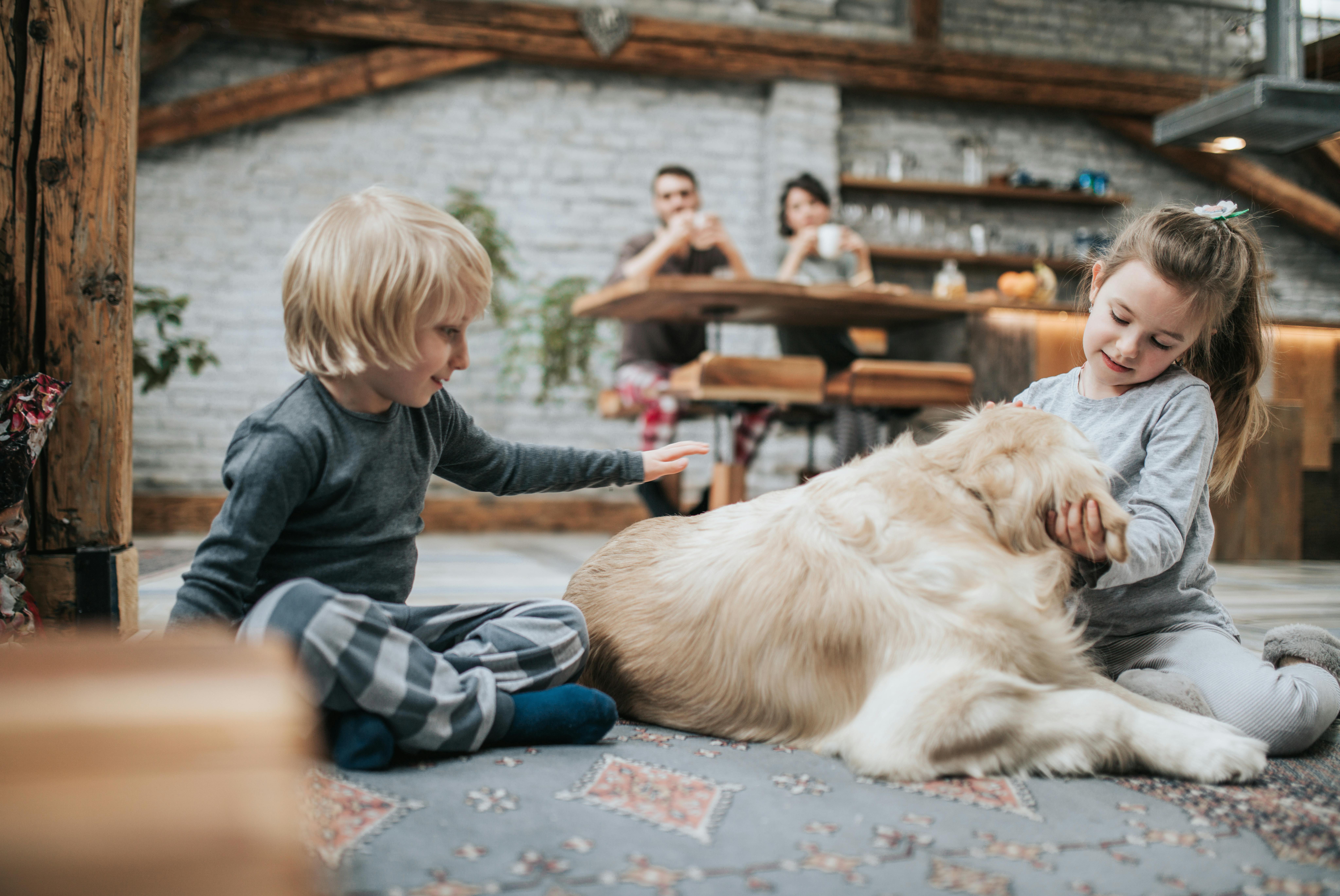 At få en familiehund er en livsstilsændring. Familiehund med to børn