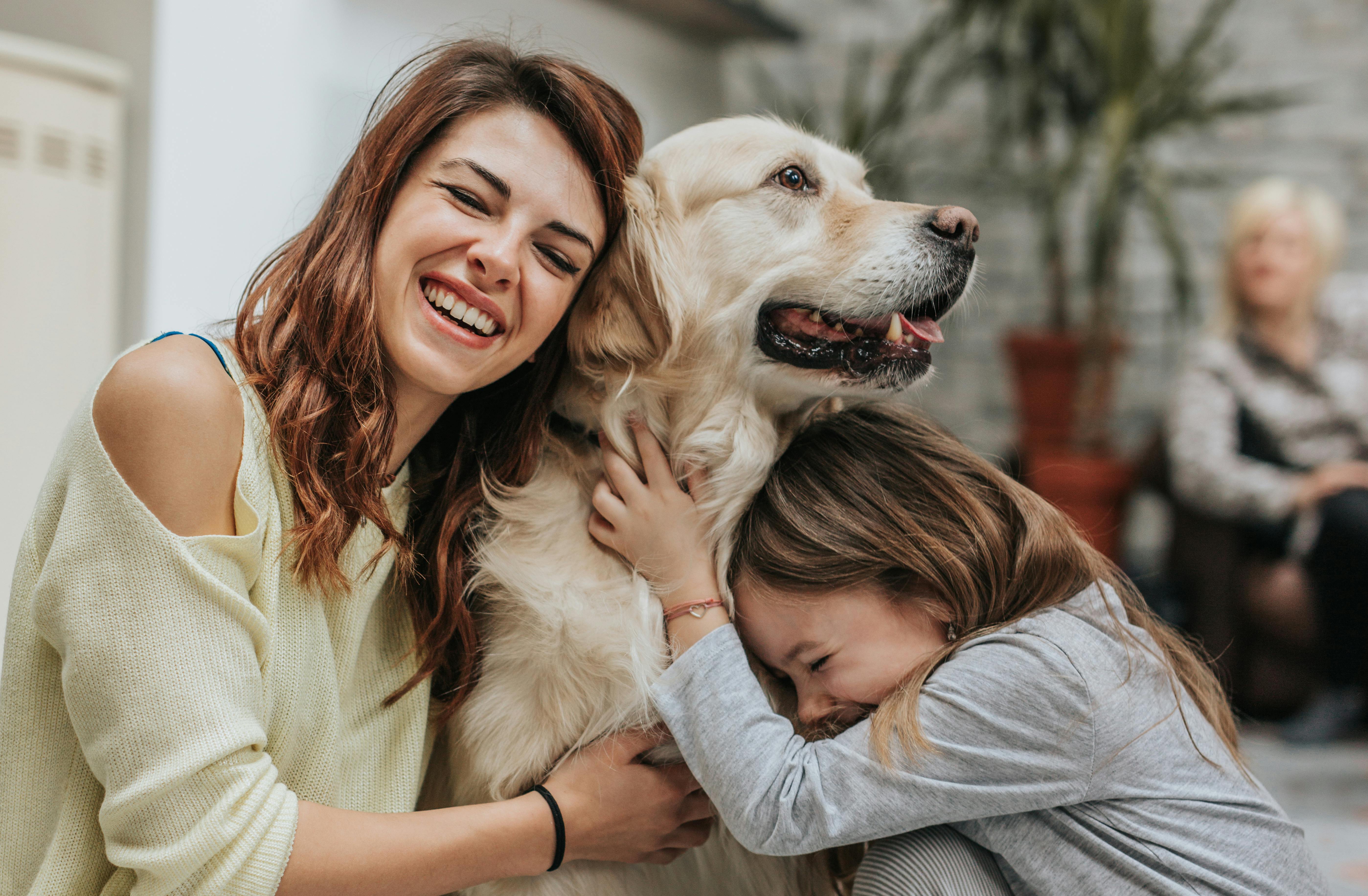 I kan også overveje en omplaceringshund som jeres næste familiehund. Familiehund med mor og datter