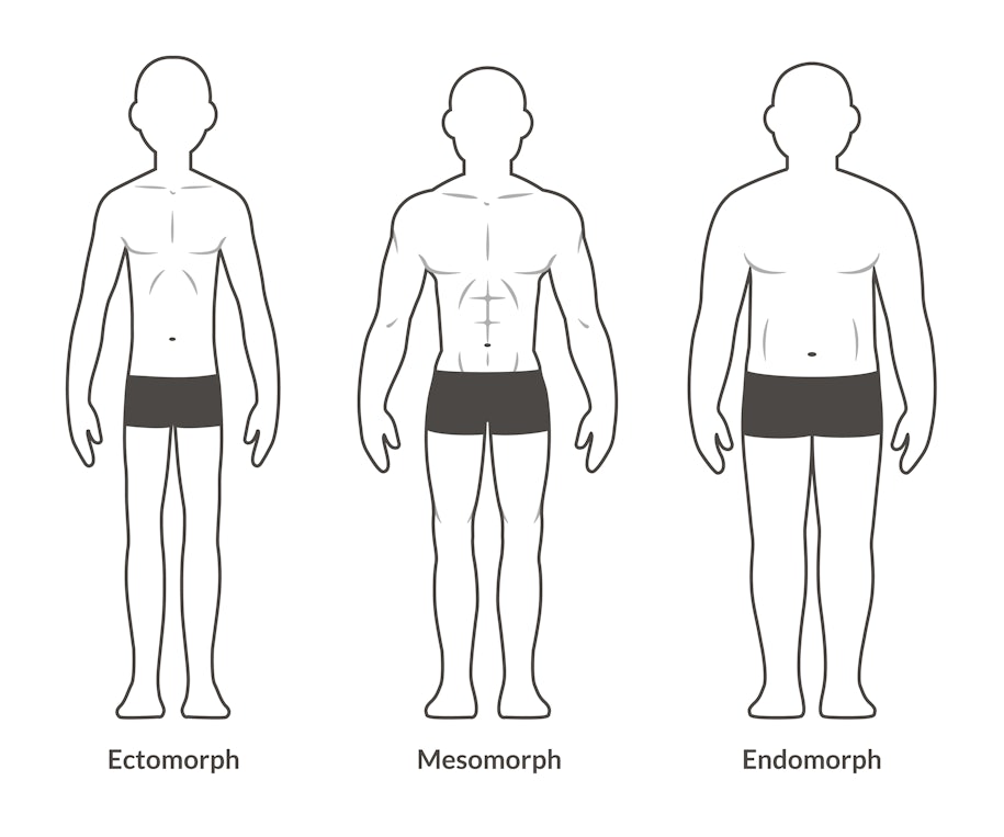 mesomorph, ectomorph eller endomorph og sportsgren