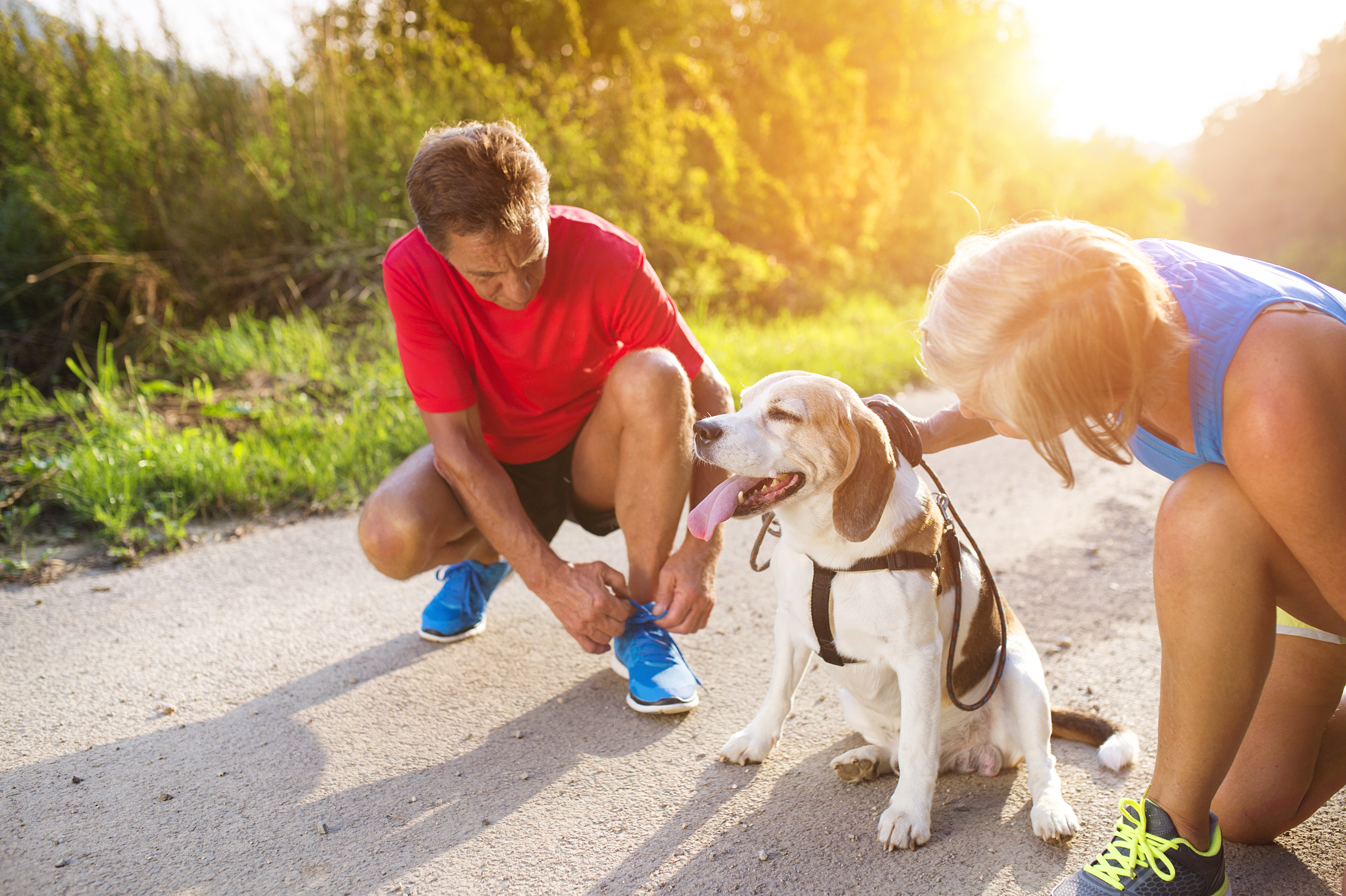 Vært for tage ned Kamp Se de bedste hunde at løbetræne med | Aktiv Træning