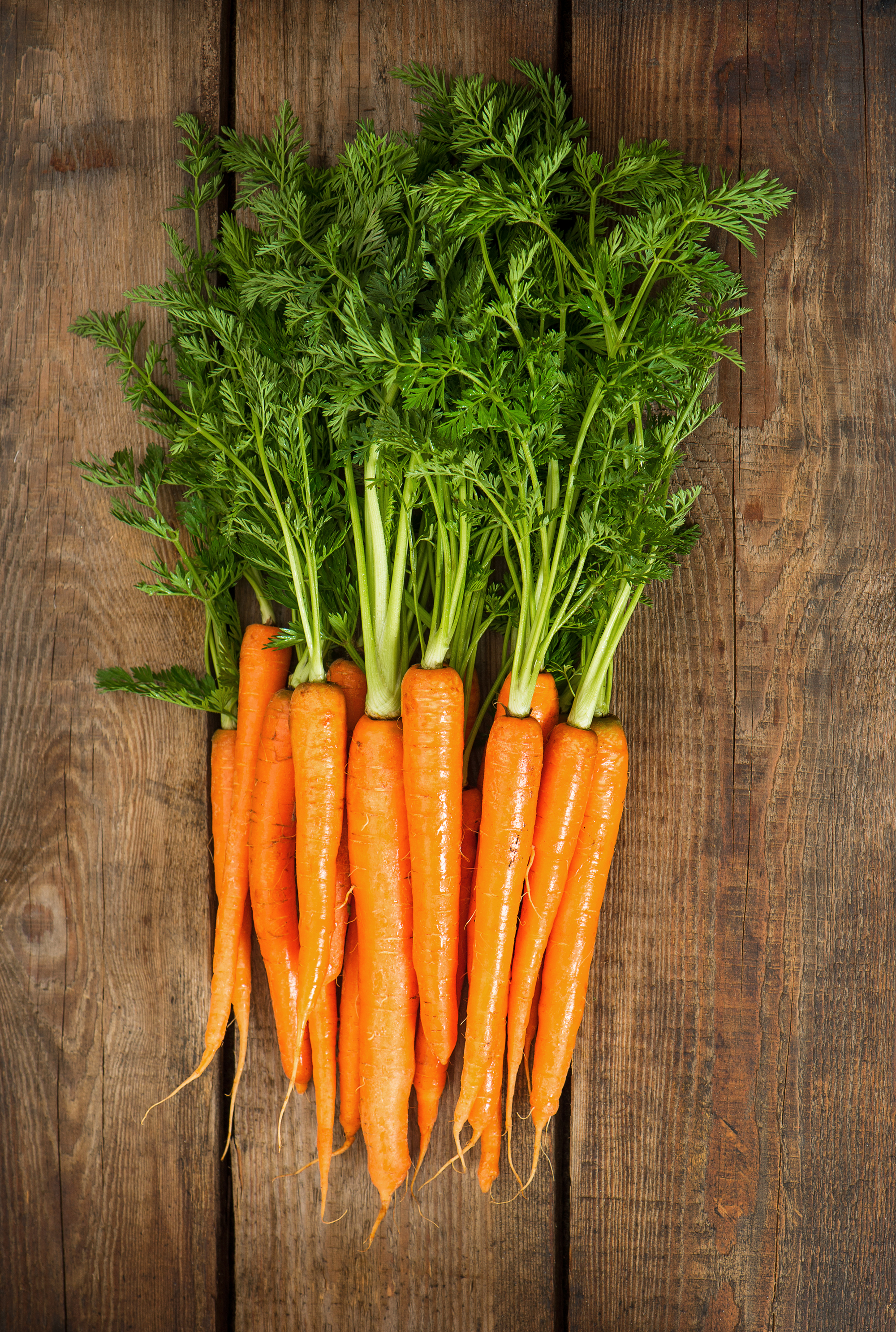 Skal jeg spise fedt til gulerødder? Aktiv Træning