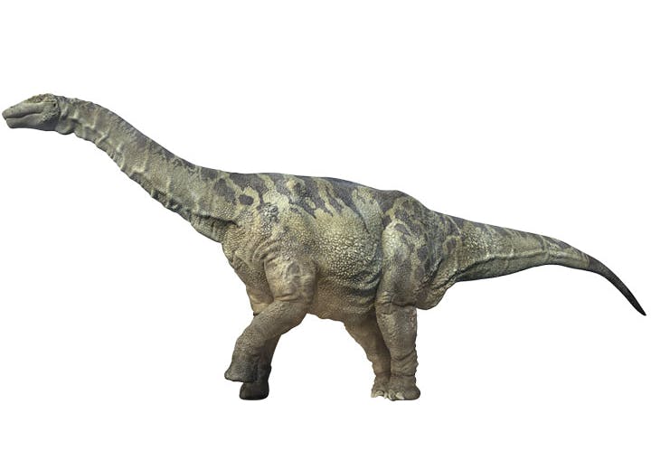 Argentinosaurus