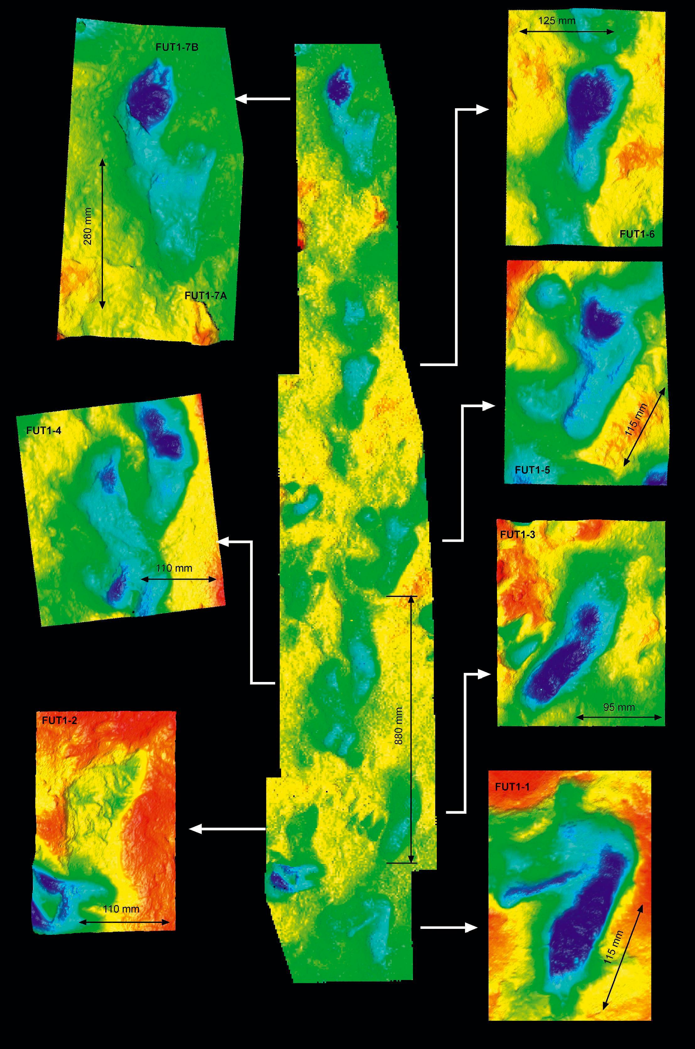 Laser measurement of footprint