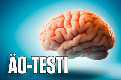 IQ-test FI embed