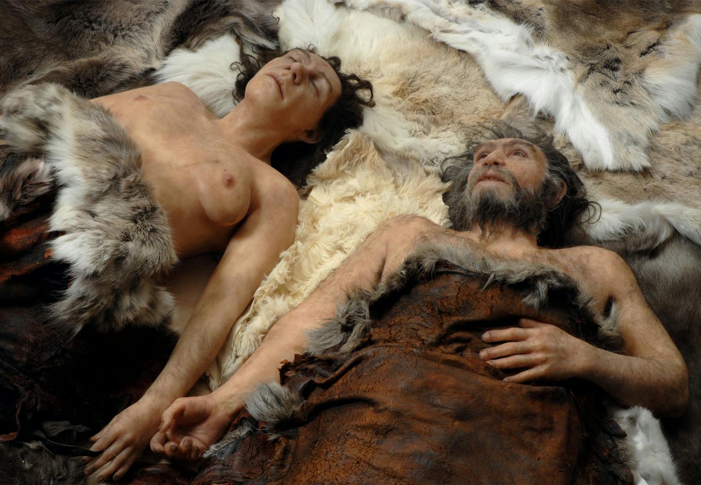 Neanderthal under the covers