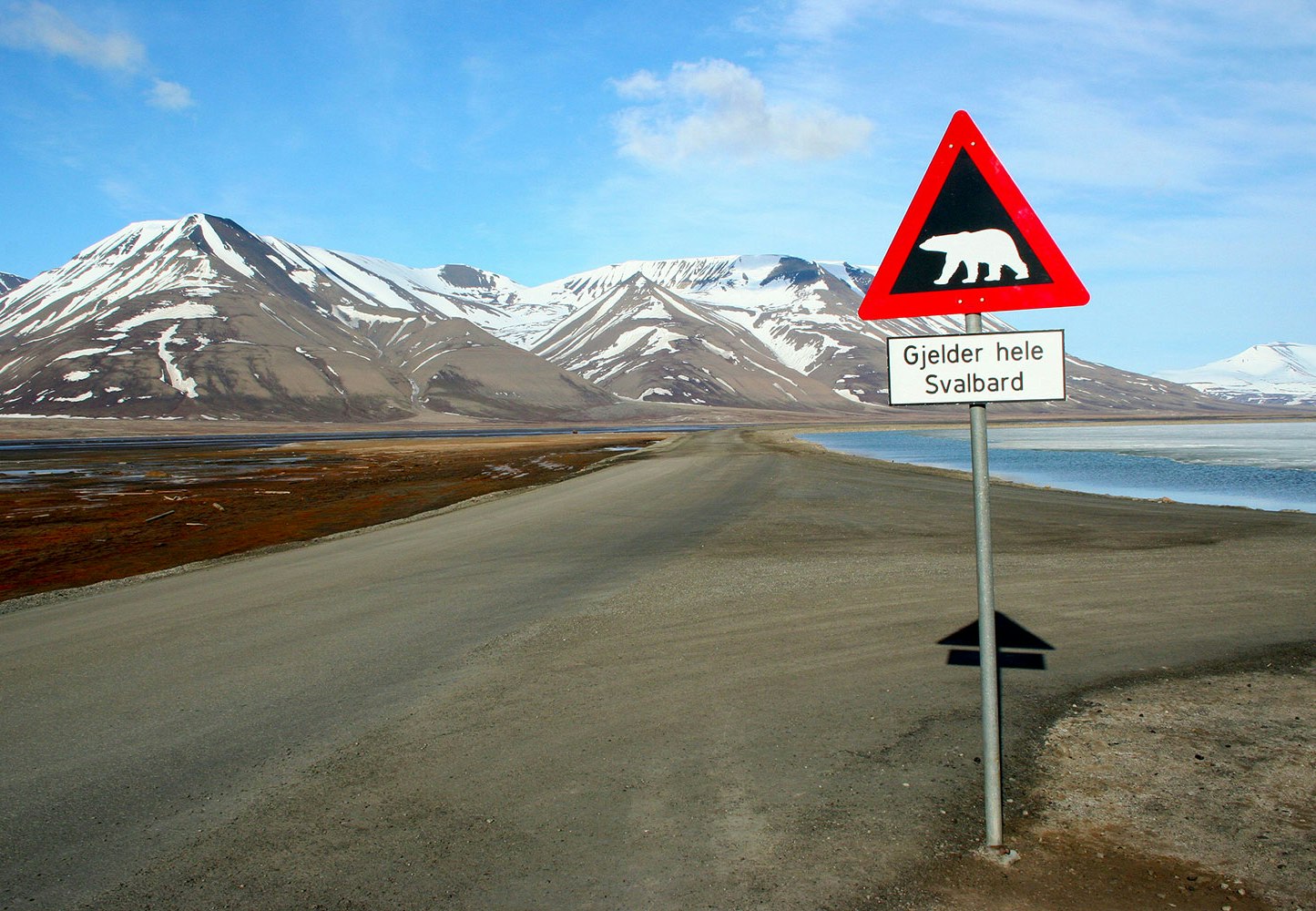 5 finurligheder fra Svalbard
