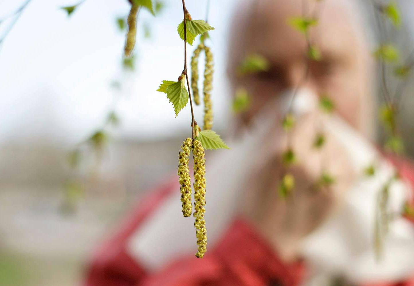 Pollen
