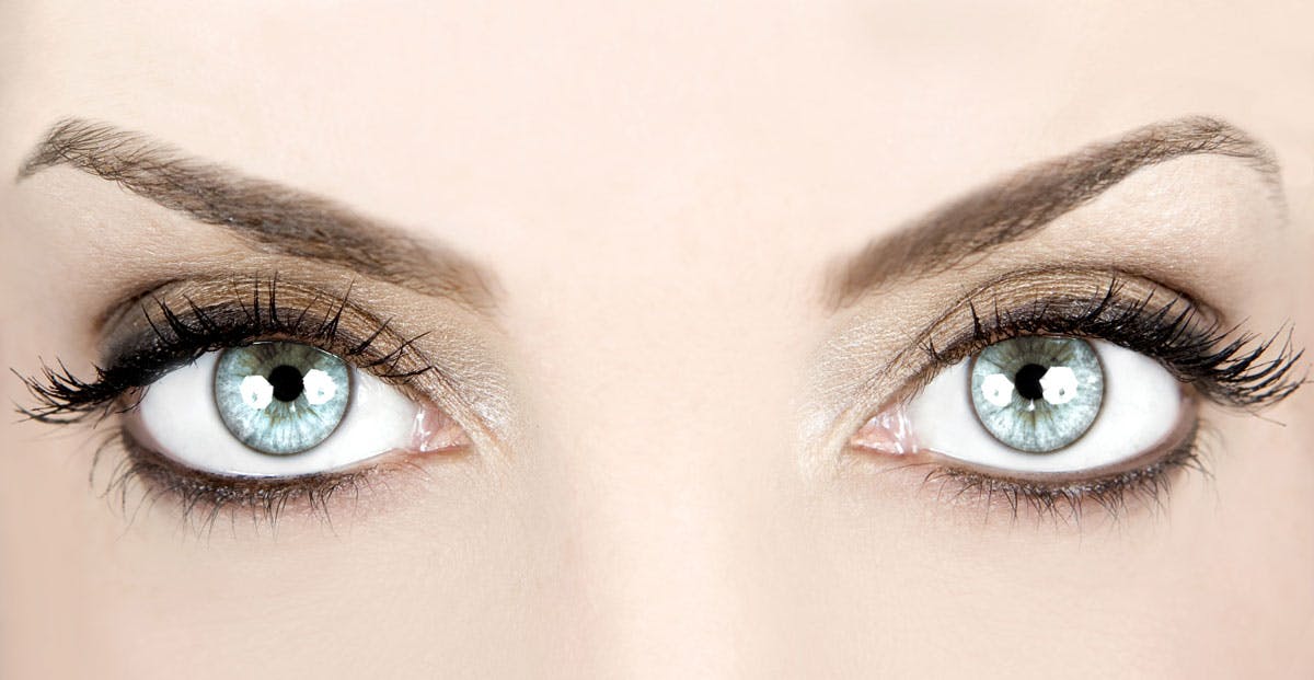 Close Up Eye Contact