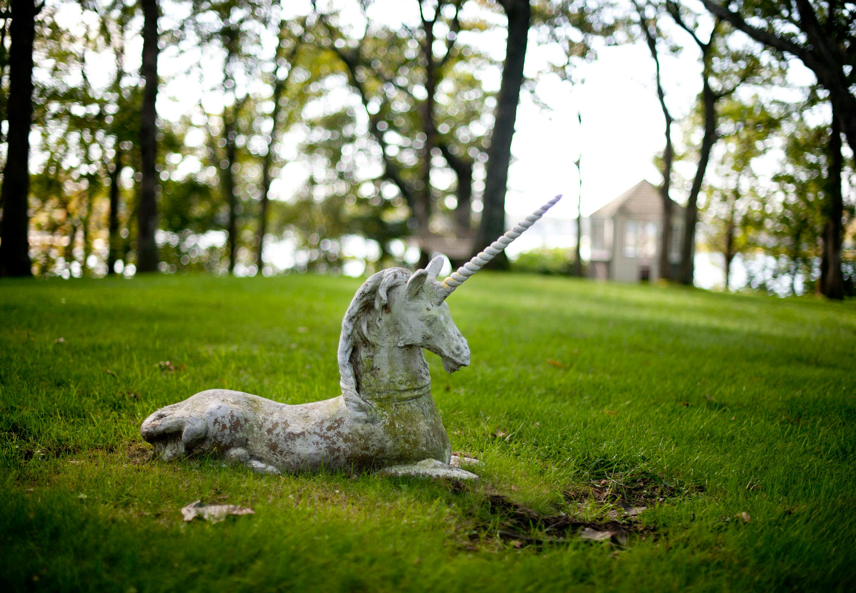 unicorn quiz