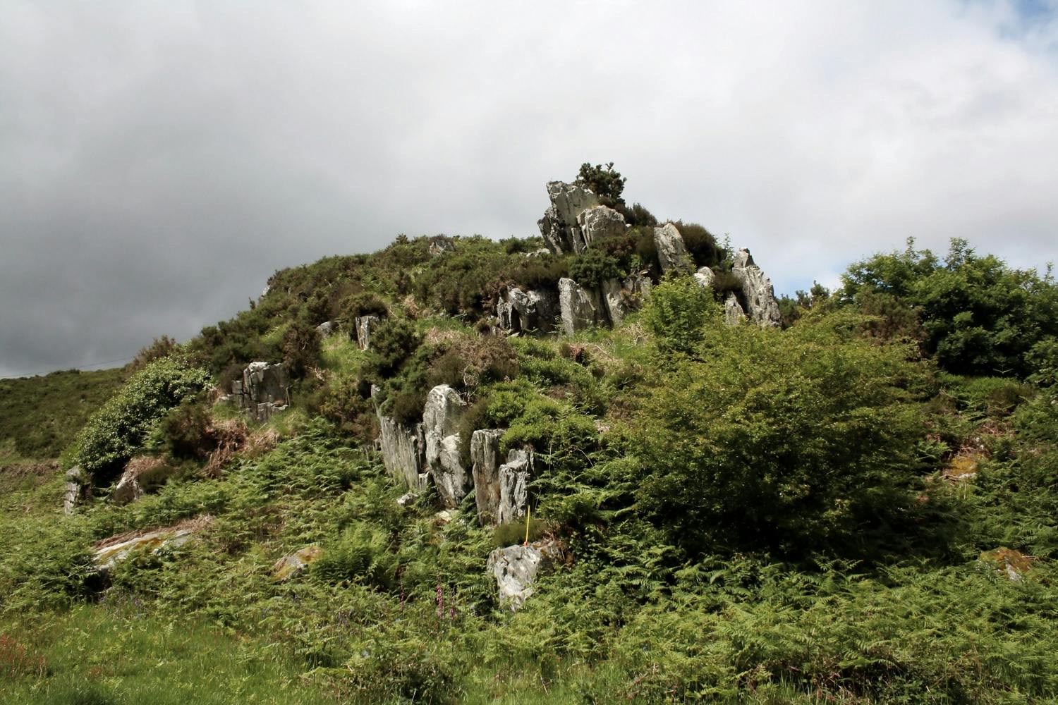 Craig Rhos-y-Felin